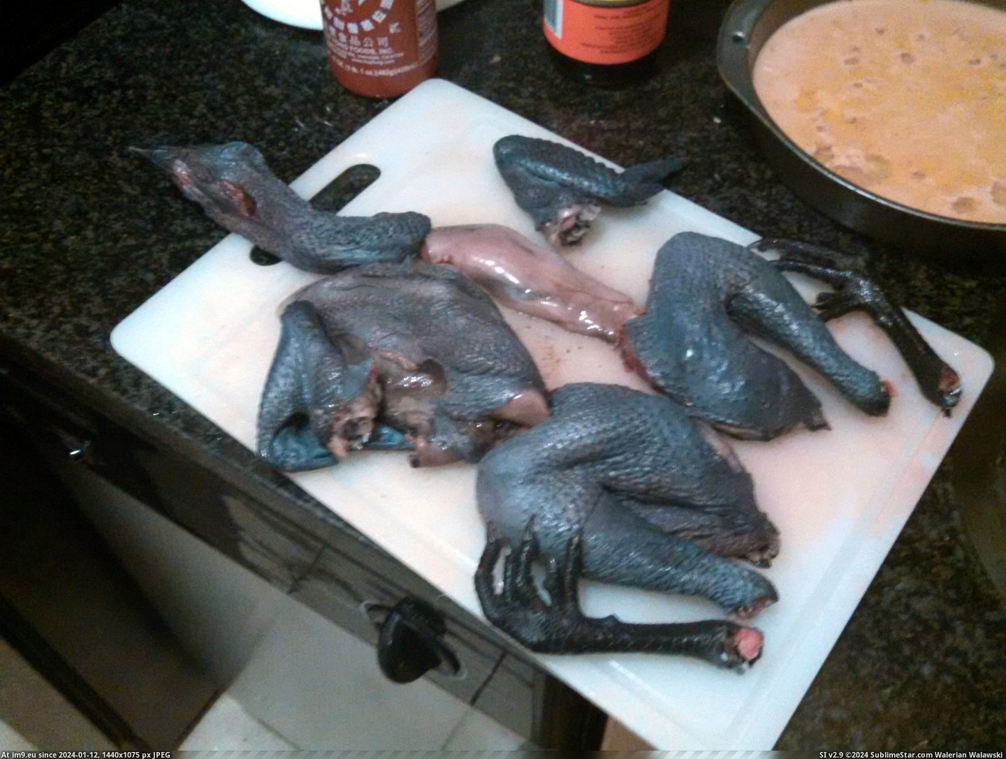 #Wtf #Black #Ordered #Skinned #Fried #Chicken #Delivers [Wtf] Not-OP delivers: Black-skinned chicken, fried. Just like you ordered, -r-WTF! 1 Pic. (Obraz z album My r/WTF favs))
