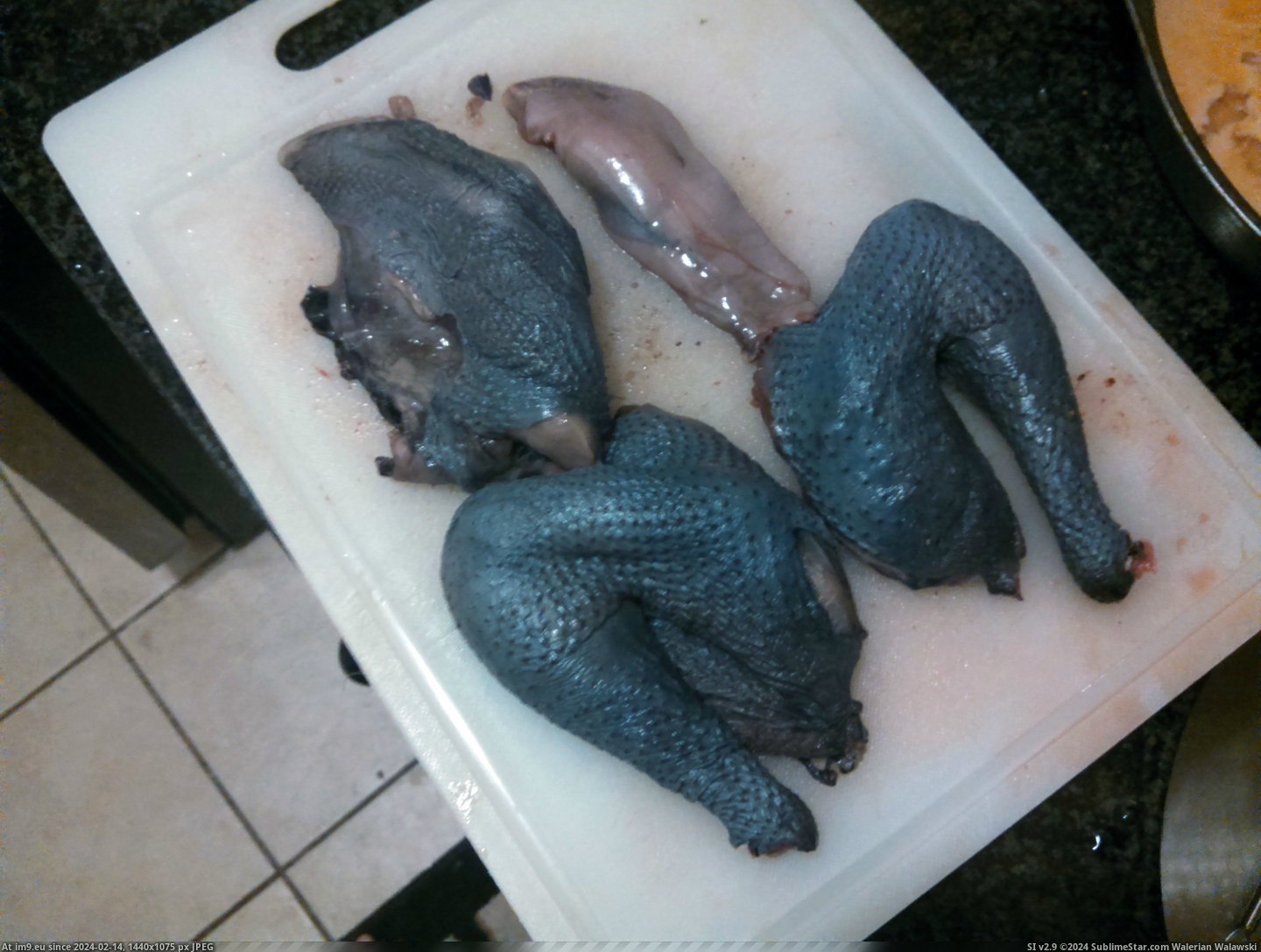 #Wtf #Black #Ordered #Skinned #Fried #Chicken #Delivers [Wtf] Not-OP delivers: Black-skinned chicken, fried. Just like you ordered, -r-WTF! 4 Pic. (Bild von album My r/WTF favs))