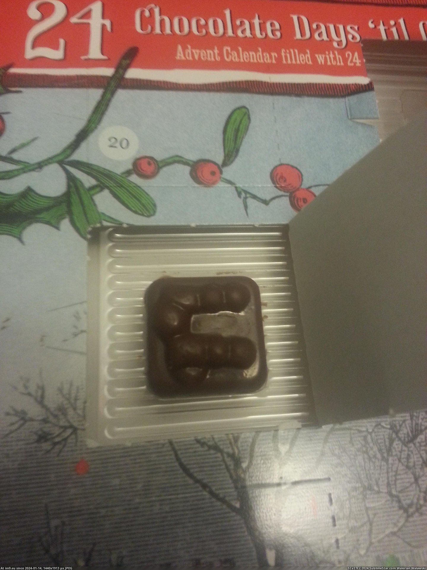 #Wtf #Day #Chocolate #Penises #Advent #Gave #Calendar #15th [Wtf] On the 15th day of December my Advent Calendar gave to me.. 2 chocolate penises Pic. (Obraz z album My r/WTF favs))