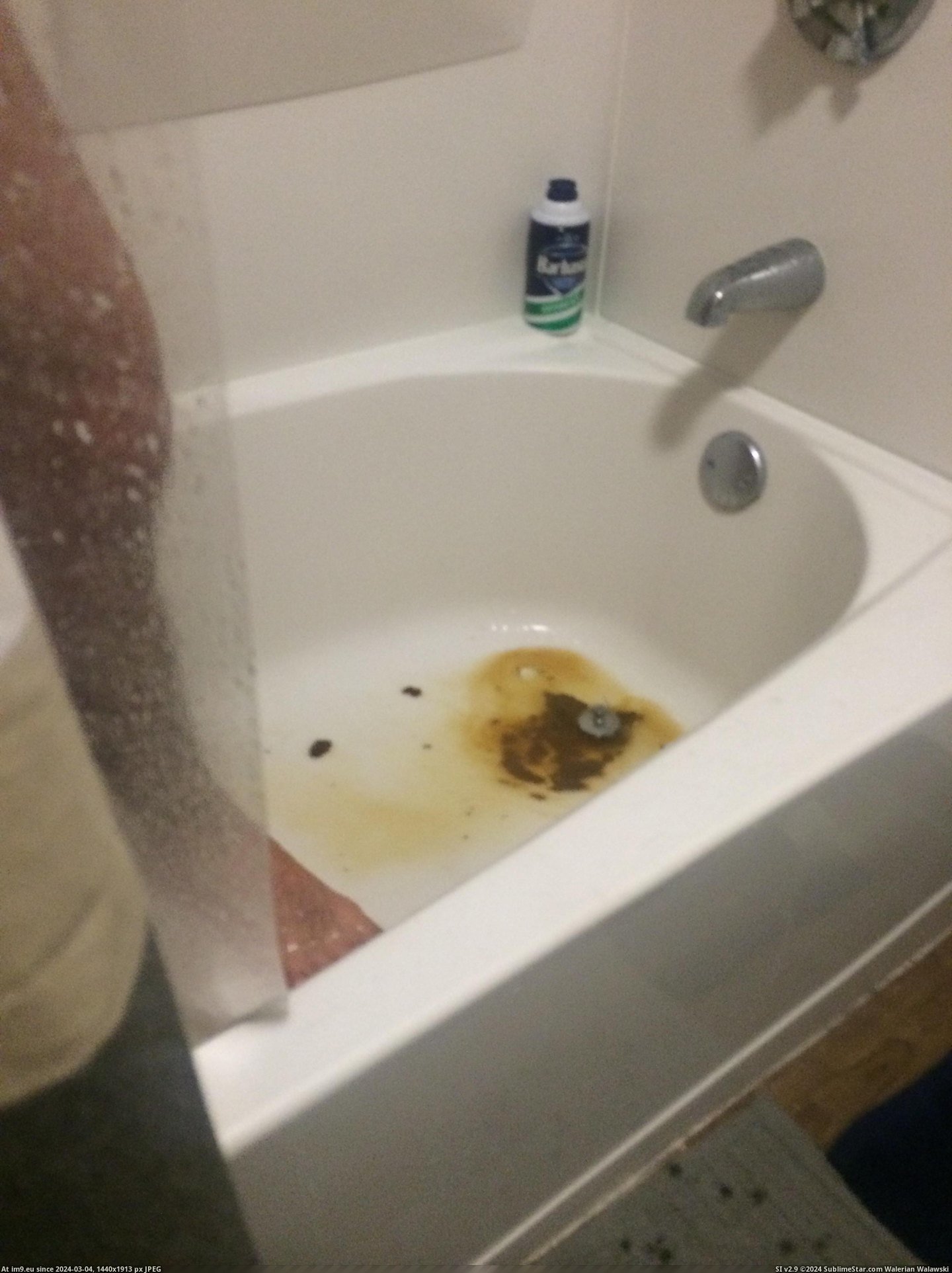 #Wtf #Shower #Shit #Sober #Roomate #Drain #Pushed #Purpose [Wtf] Roomate took a shit in the shower and pushed it down the drain. On purpose. Sober. Pic. (Obraz z album My r/WTF favs))