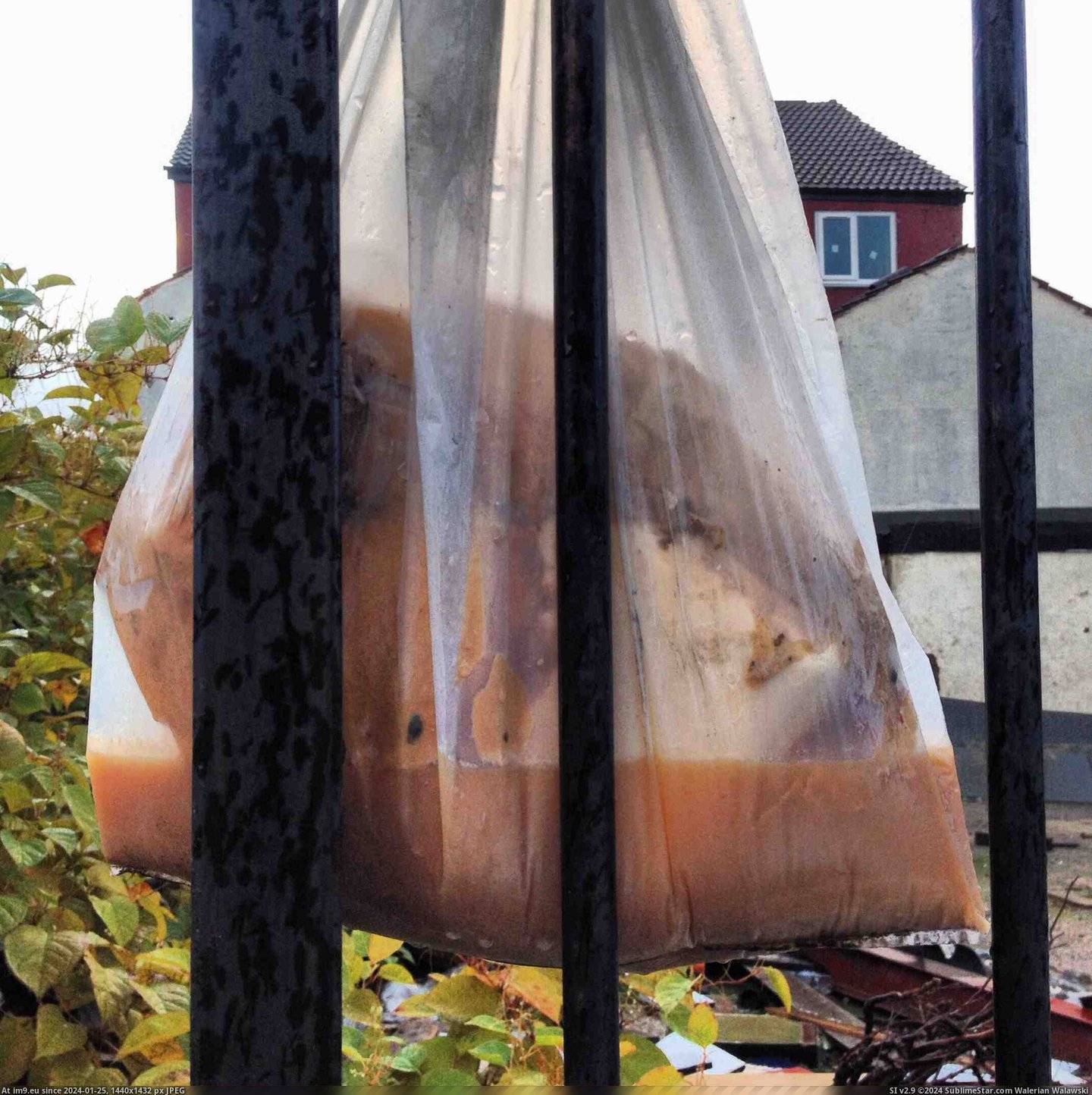 #Wtf #Saw #Railings #Hanging #Bag [Wtf] Saw this bag of WTF hanging on some railings Pic. (Изображение из альбом My r/WTF favs))