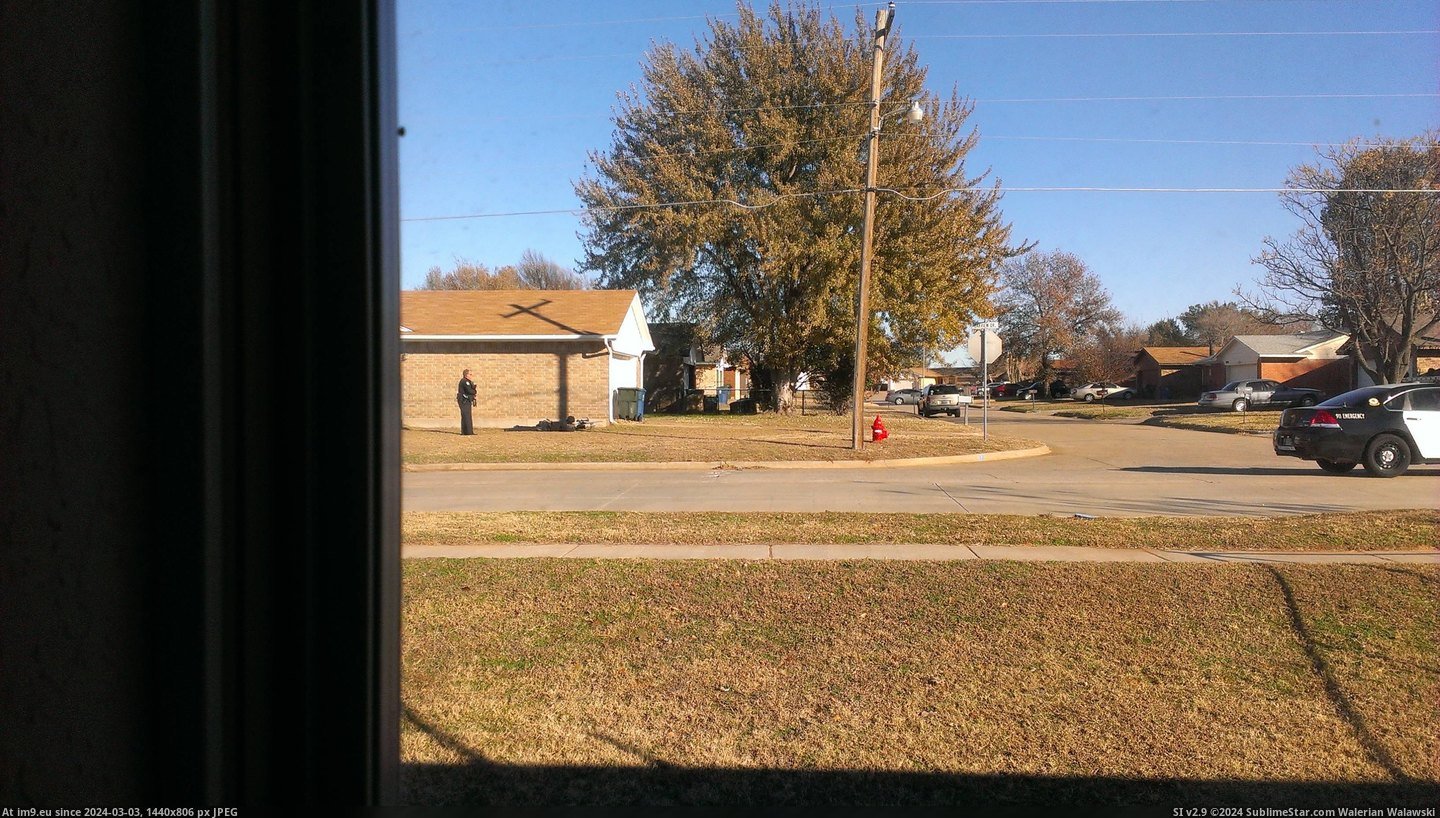 #Wtf #Neighbor #Sniper #Yard [Wtf] So, there's a sniper in my neighbor's yard... Pic. (Bild von album My r/WTF favs))