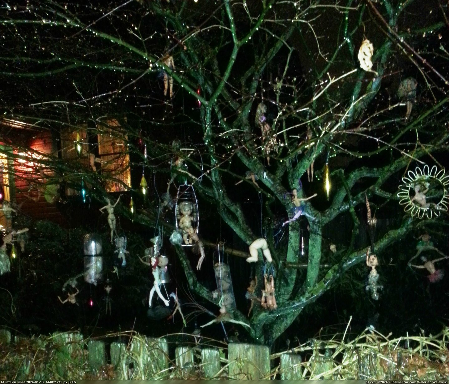 #Wtf #For #Was #See #Walk #Lights #Decorations #Out #Christmas #Tonight [Wtf] Was out for a walk tonight to see Christmas lights. Found these decorations instead. 2 Pic. (Image of album My r/WTF favs))