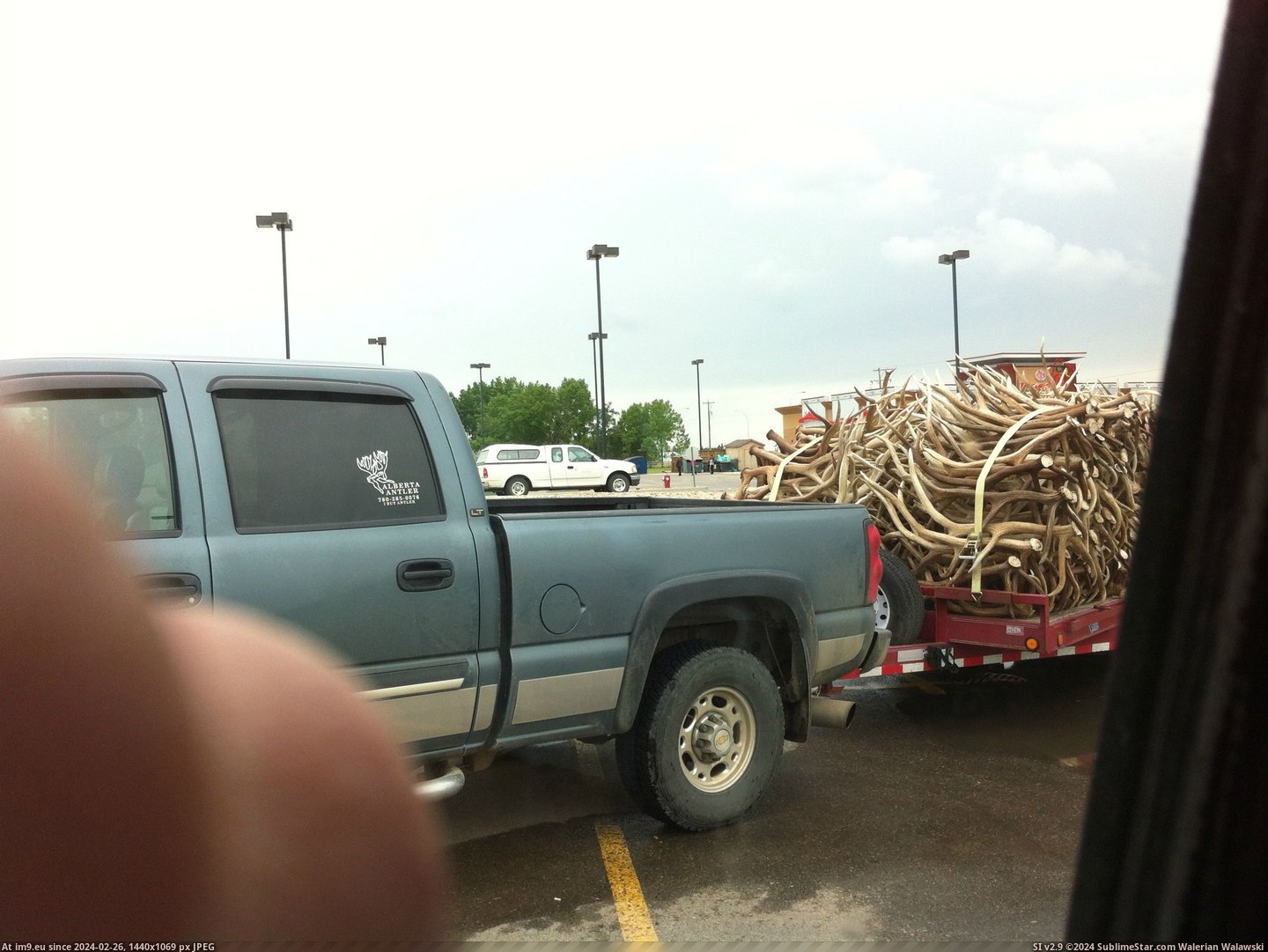 #Wtf #Get #Drive #Hunting #Successful #Season #Coffee [Wtf] Went to the drive-thru to get a coffee. Looks like a successful hunting season. 2 Pic. (Image of album My r/WTF favs))