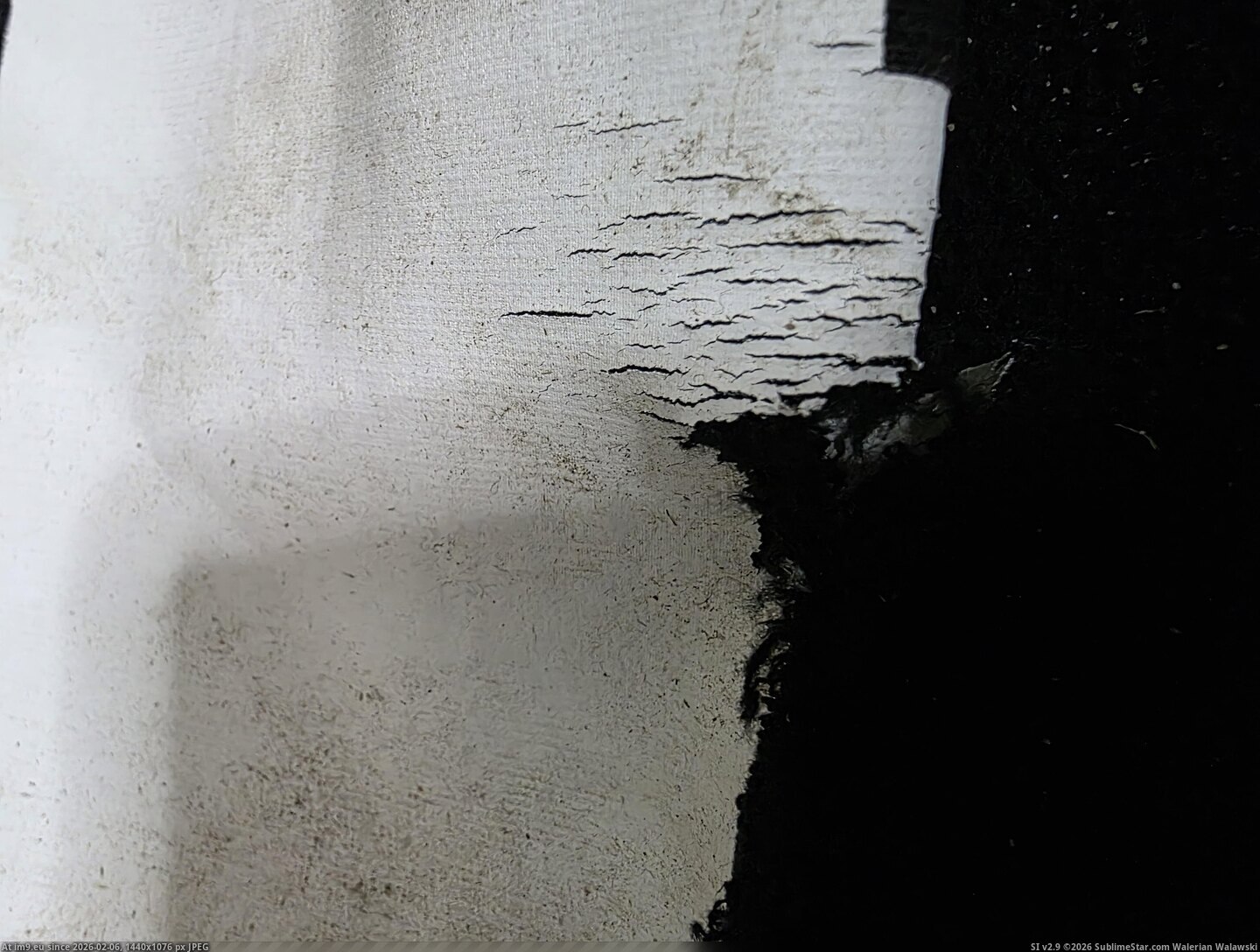 in Instant Upload 1000023306 Pic. (Obraz z album Instant Upload))