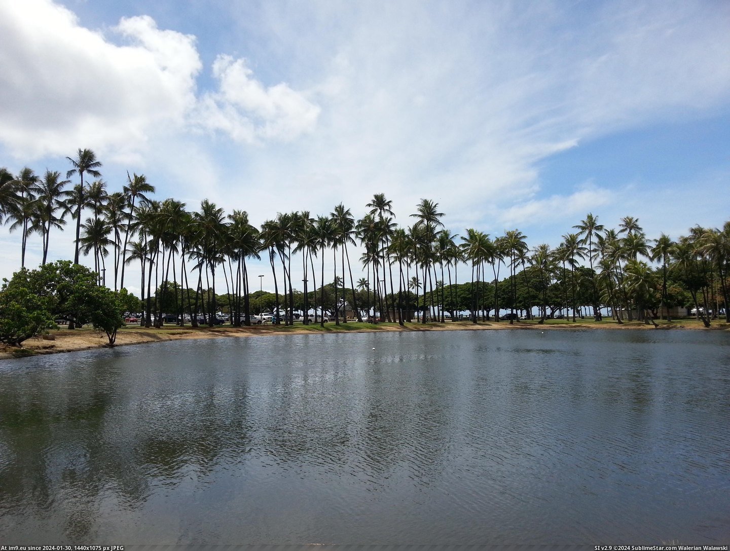  #Image  20131002_115937 Pic. (Image of album Hawaii))