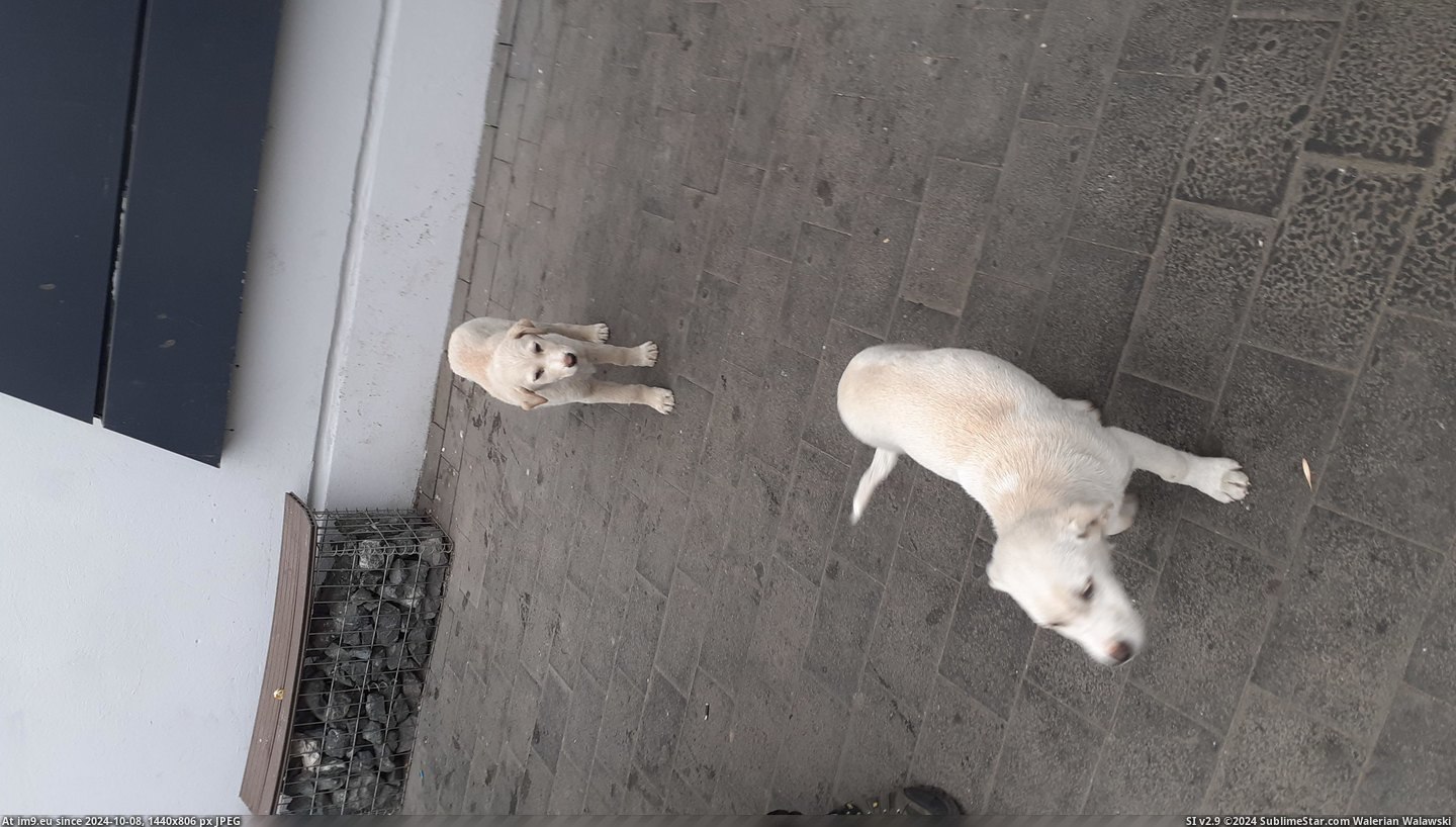 #Image #Images #Picture #Naked 20240217_100537 Pic. (Изображение из альбом Instant Upload))