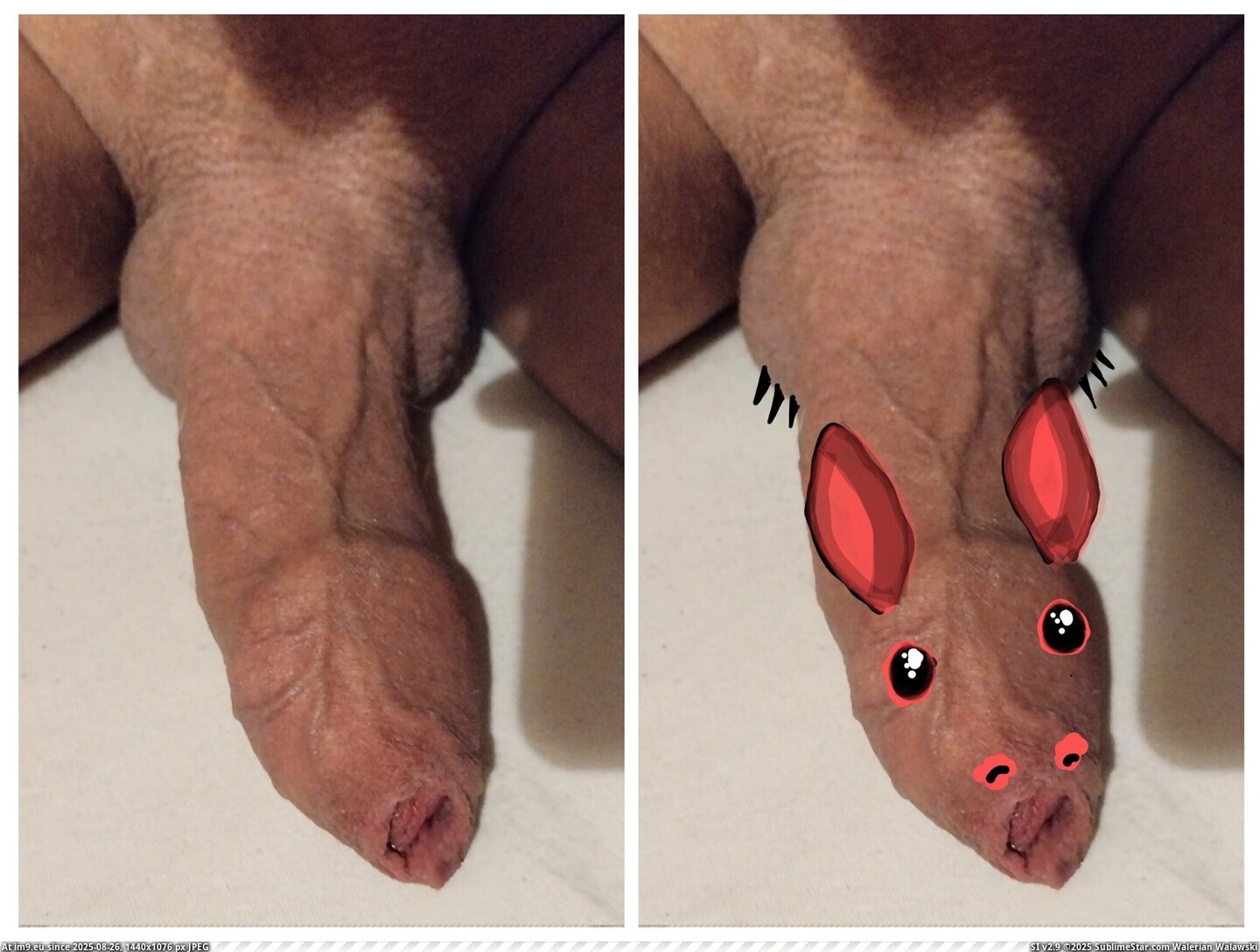 #Porn #Amateur #Nudes #Homemade #Dutch #Collage #Dick #Dickpics #Selfies 20250825_225859-COLLAGE Pic. (Image of album Lenstroyer selfies and dickpics collages))