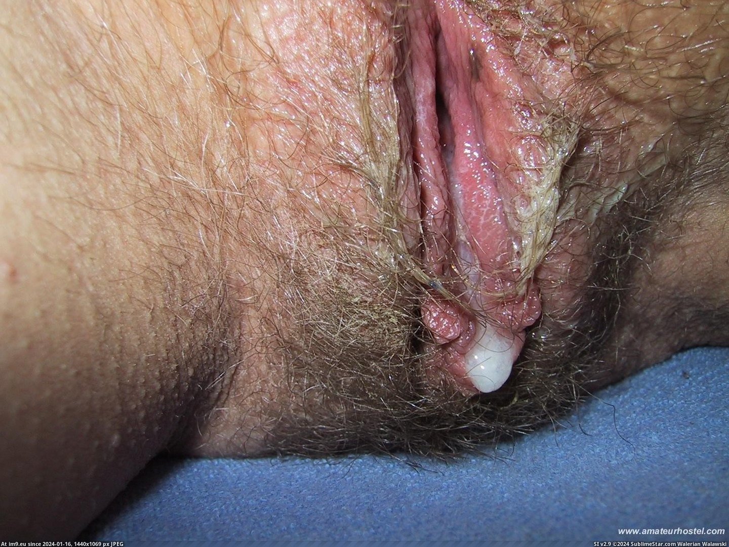 36177012 (in Hairy Creampies)