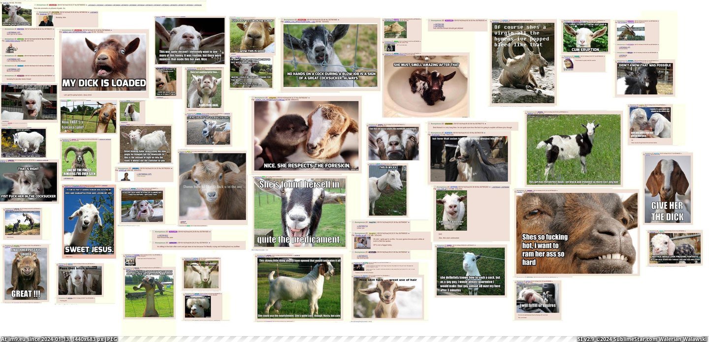 #Porn #Puts #Goat #4chan [4chan] -b- puts porn comments on goat pics Pic. (Image of album My r/4CHAN favs))