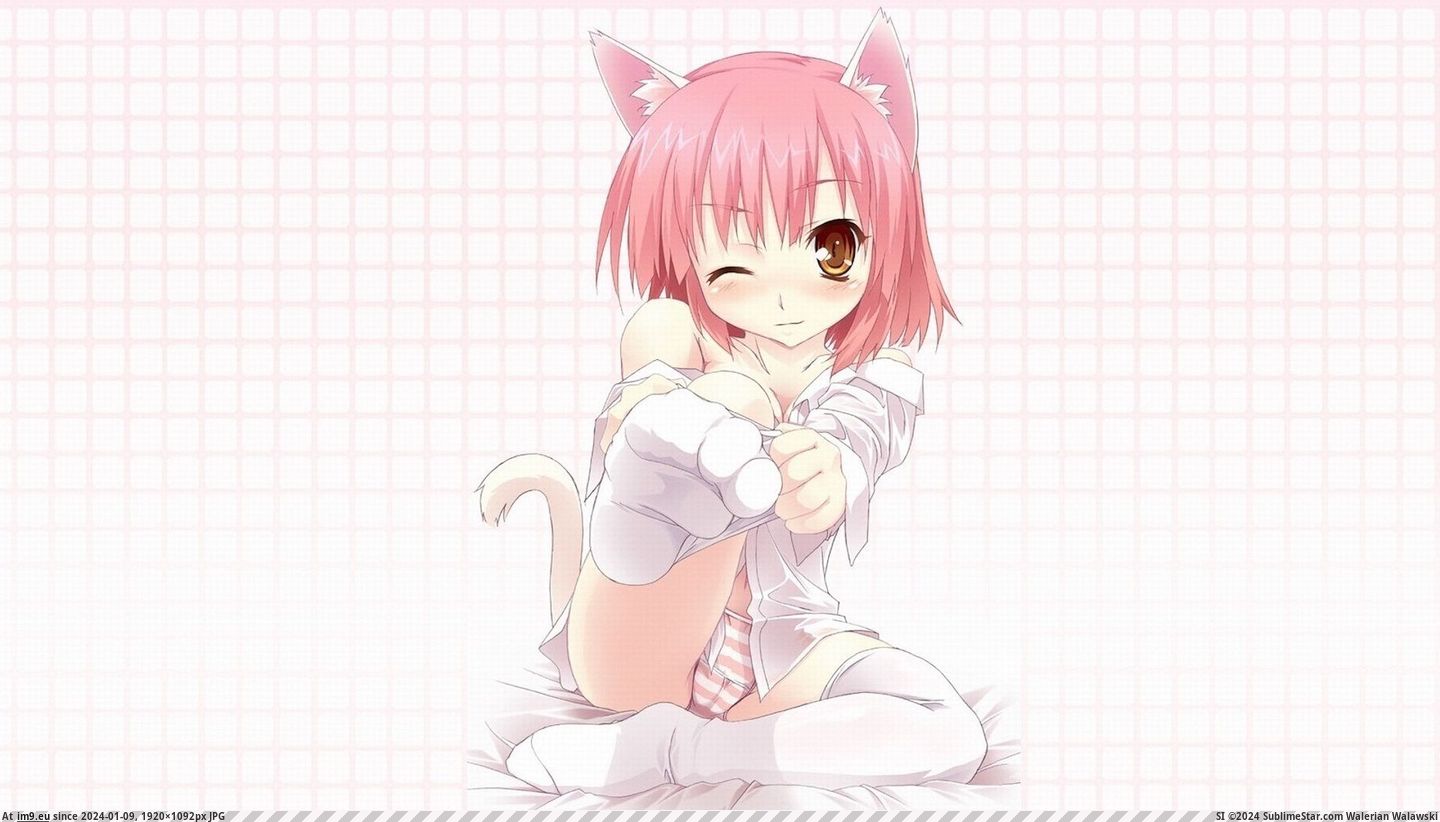 82144 Animal Ears Blush Cameltoe Catgirl Dressing Duplicate Panties Pink Hair Socks Tail Thighhighs Underwear Wink Mx 1920X1080  (in Anime Wallpapers 1920x1080 (HD manga))