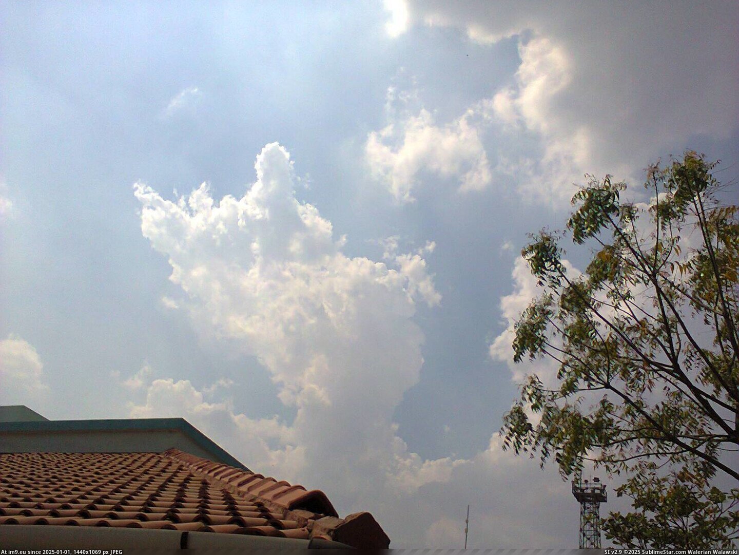 in Instant Upload 90 Pic. (Obraz z album Instant Upload))