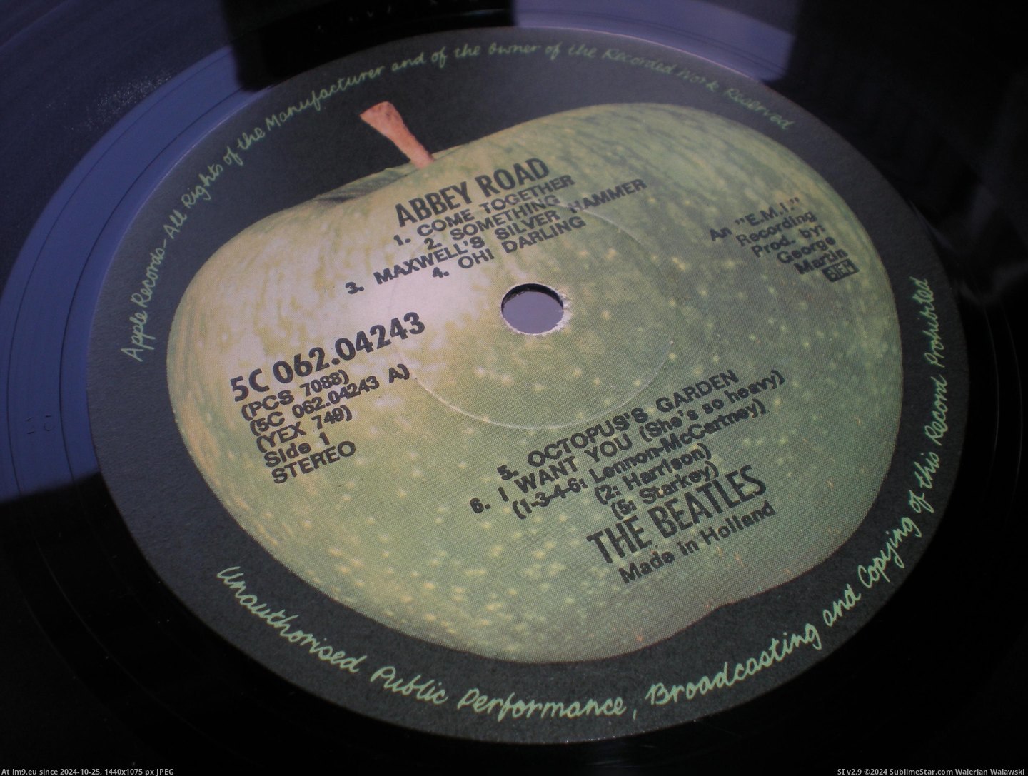 #Dutch  #Abbey Abbey Dutch 2 Pic. (Obraz z album new 1))