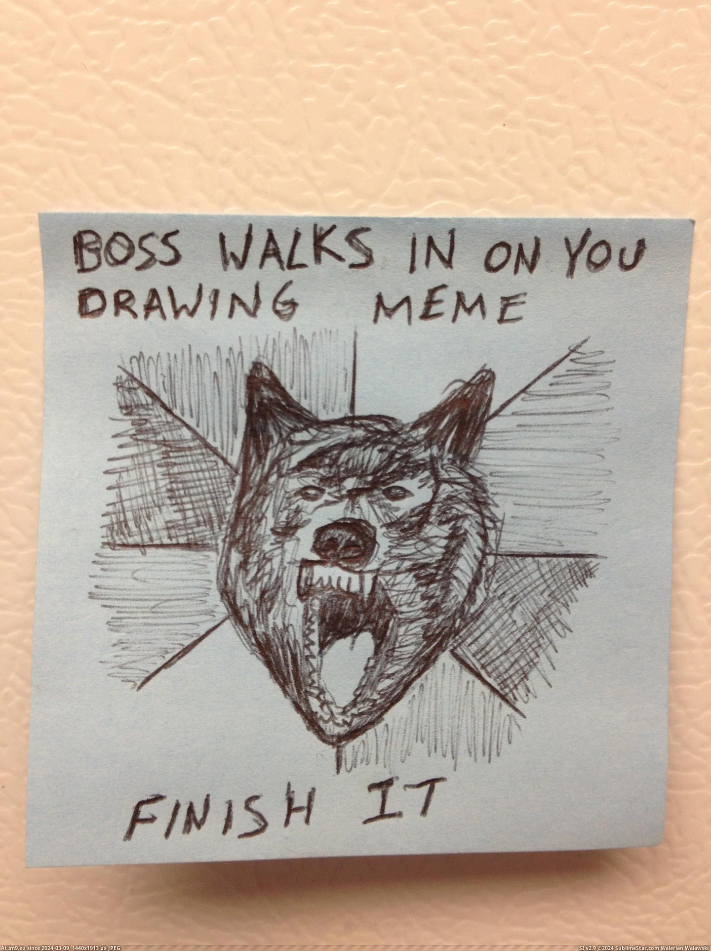 #Time #Wolf #Insanity #Full [Adviceanimals] Full-time Insanity Wolf Pic. (Obraz z album My r/ADVICEANIMALS favs))