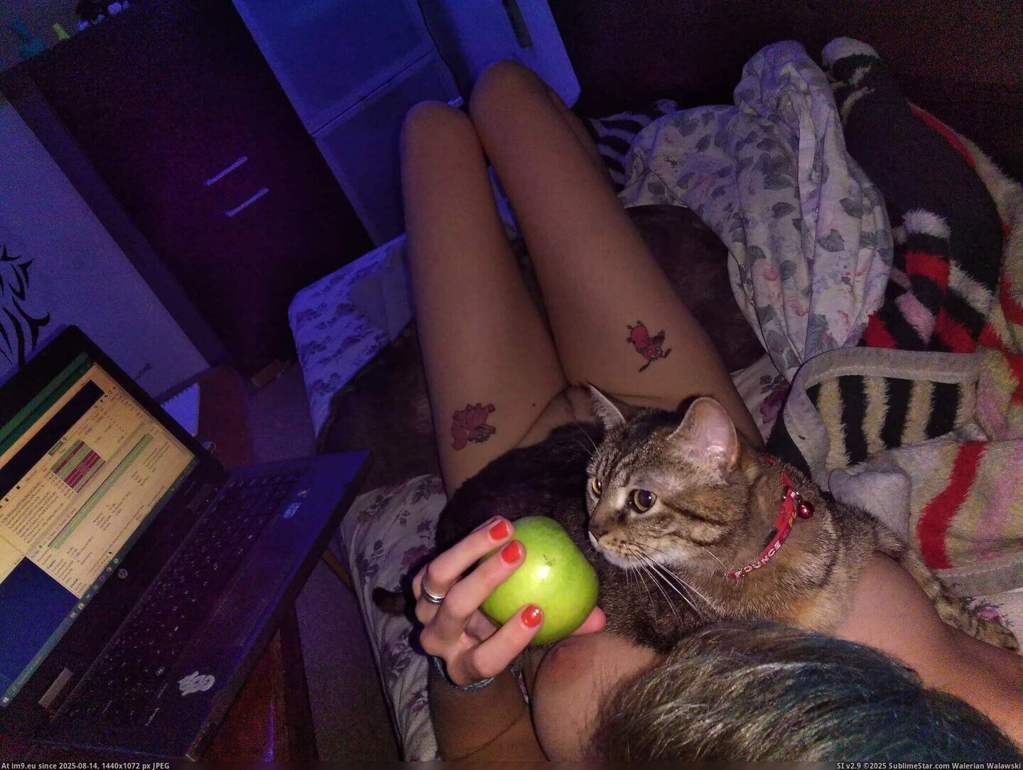 #Tits #Pussy #Amateur #Nude #Nudes #Naked #Small #Cats #Hair #Selfies #Valentina #Glasses apple5 Pic. (Image of album Valentina nude selfies with cats))