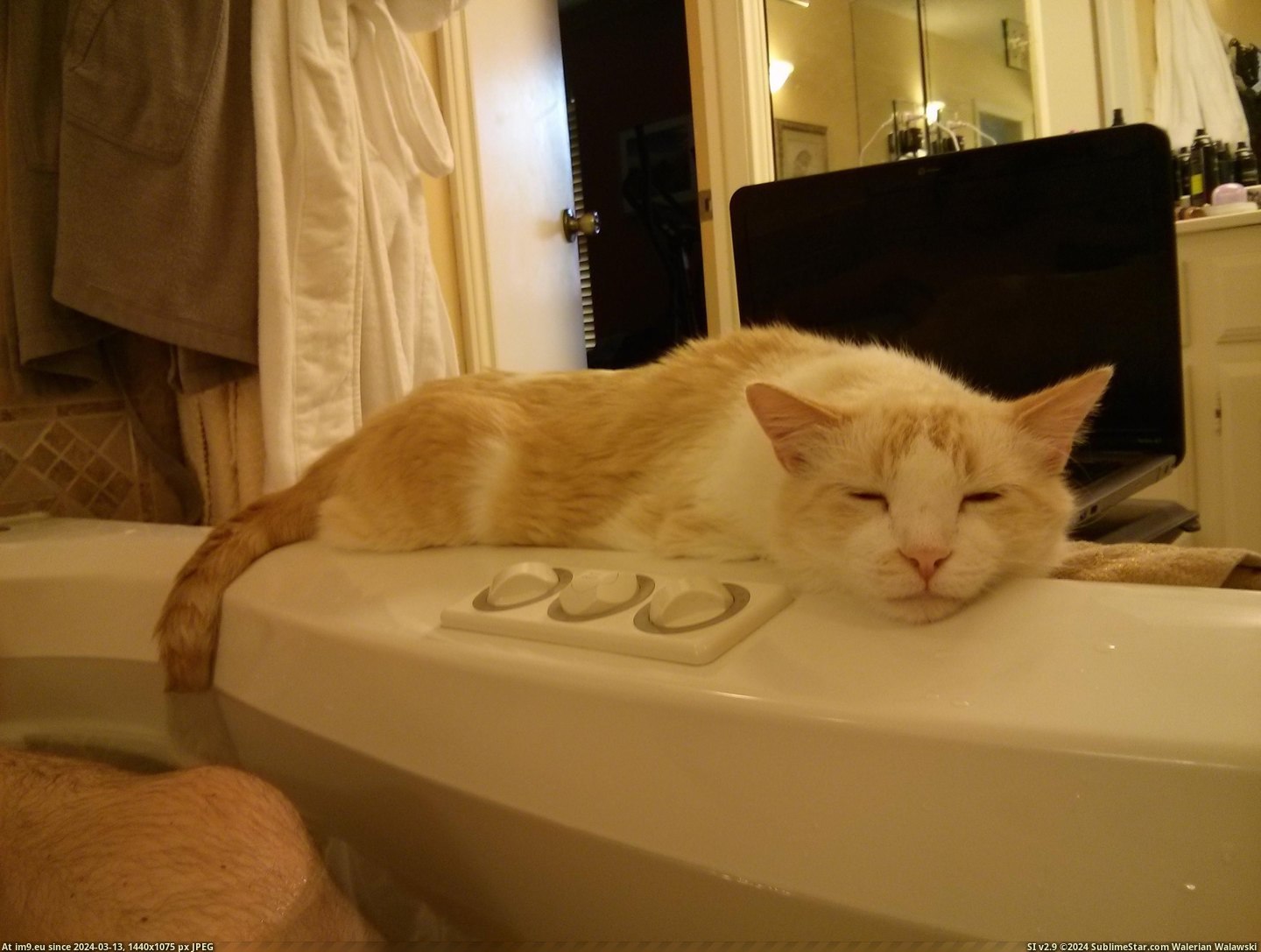 #Can #Him #Bath [Aww] I can't even take a bath without him... Pic. (Bild von album My r/AWW favs))