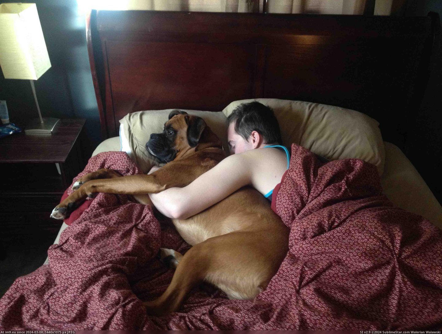 #One #Find #Replaced #Walk #Minute [Aww] I get up for one minute and walk in to find that I've already been replaced. Pic. (Obraz z album My r/AWW favs))