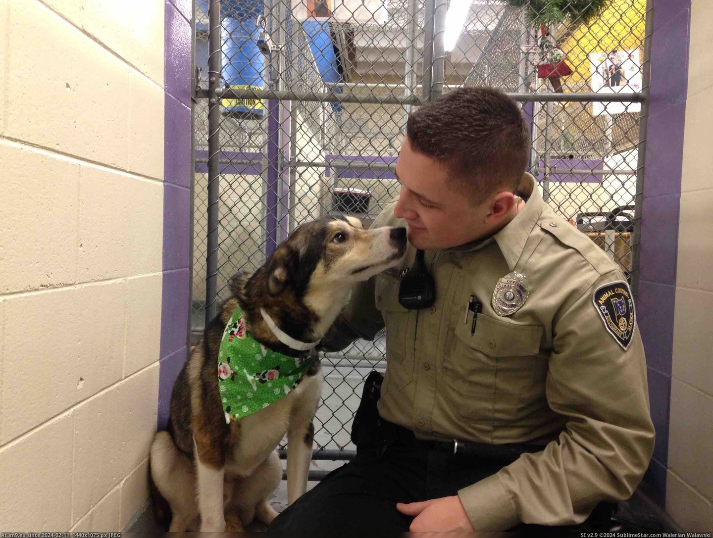 [Aww] This dog says goodbye to the Animal Control Officer that saved him before he went to his new home (in My r/AWW favs)