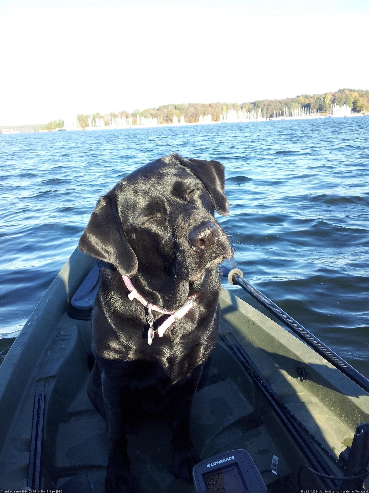 #Was #Happy #Fishing #Morning #She [Aww] We went fishing this morning. I think she was happy Pic. (Image of album My r/AWW favs))
