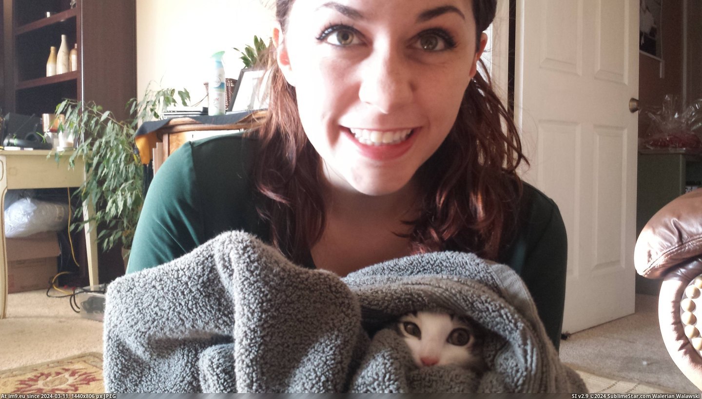 #Cat #Wife #Feel #Frustration #Banishes #Towel #Punk #Prison [Aww] When our cat is being a punk, my wife banishes him to towel prison. You can feel the frustration. Pic. (Obraz z album My r/AWW favs))