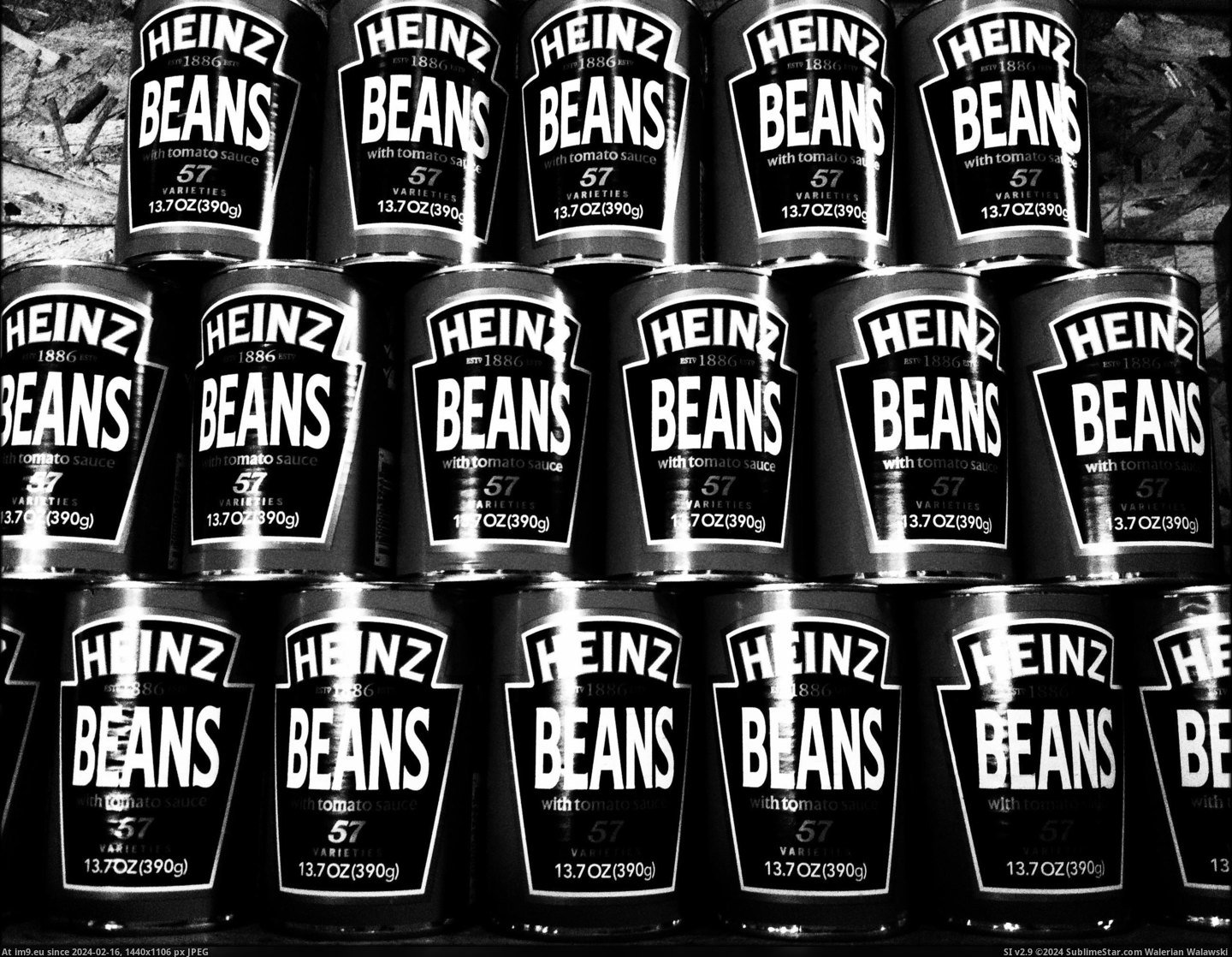 beanz (in Pictures2014)