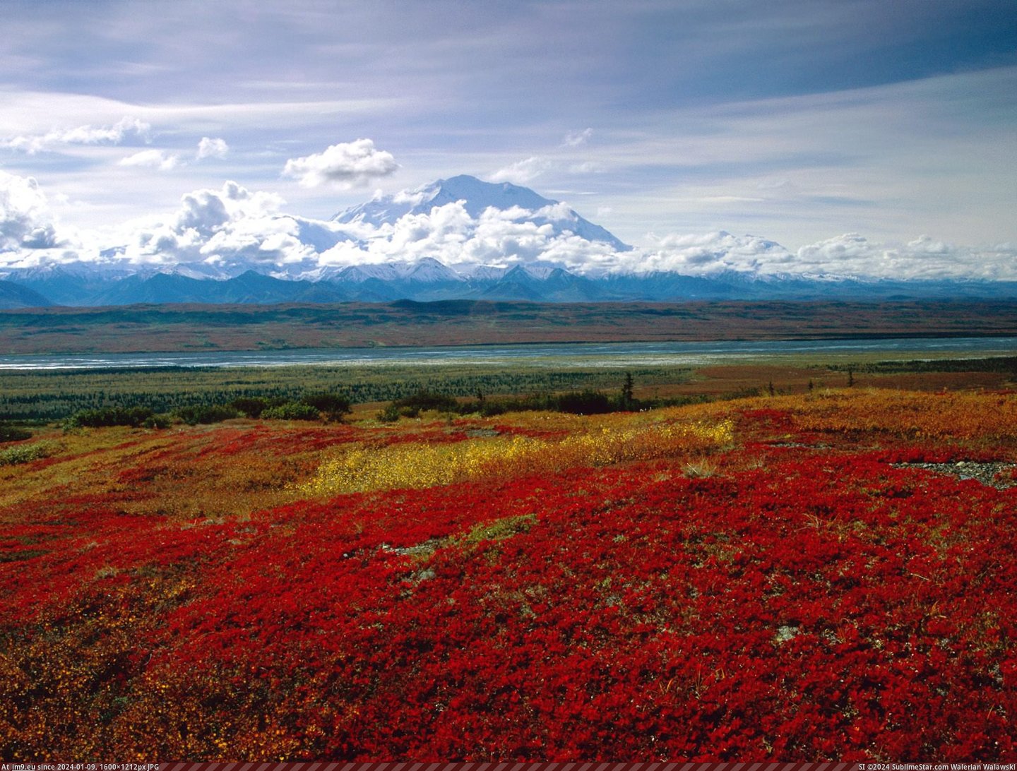 Brilliant Colors Of Denali National Park Alaska Normal (HD wallpaper) (in Amazing HD Wallpapers)