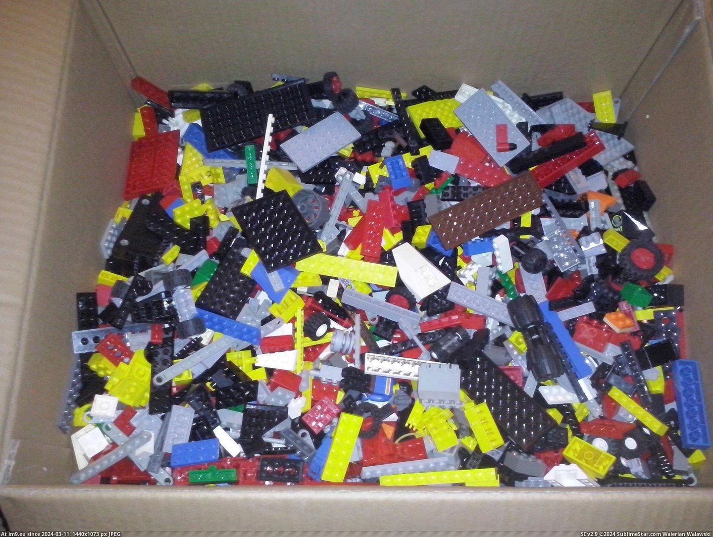 CAM00655 (in Lego)