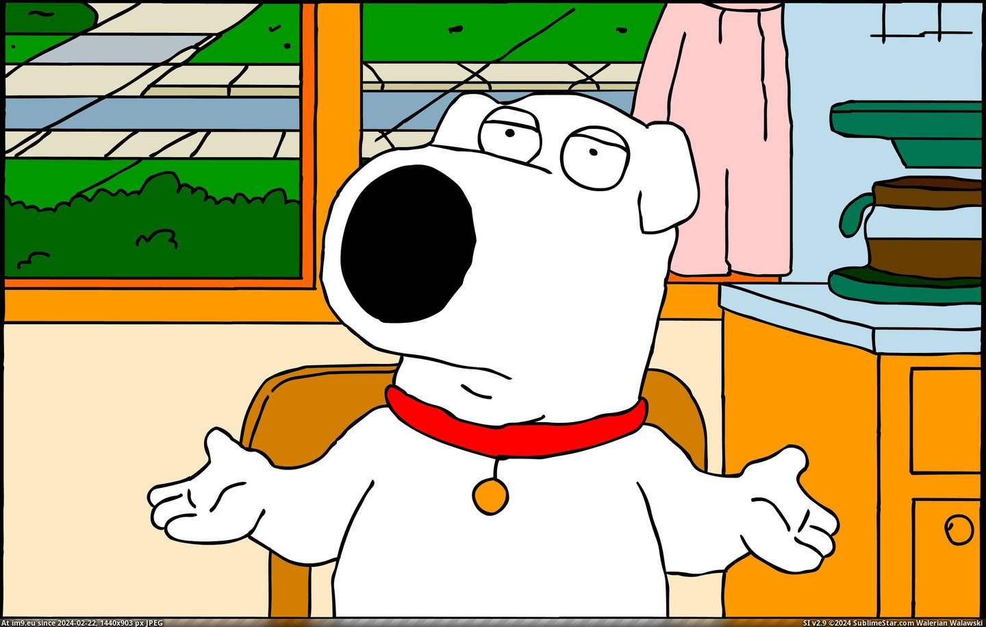 #Guy #Cartoon #Family Cartoon Family Guy 178522 Pic. (Bild von album TV Shows HD Wallpapers))