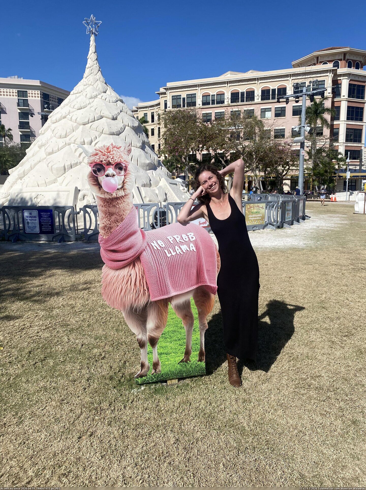 in Florida Webslut Cassi Cassi 44 Pic. (Bild von album Florida Webslut Cassi))