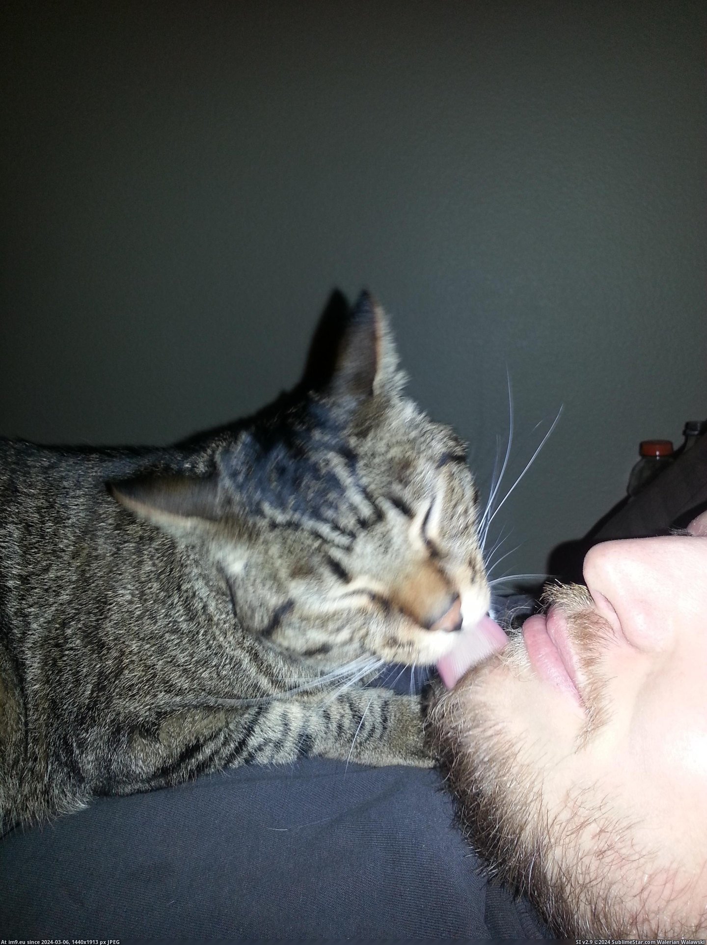 #Cats #Dirty #Beard #Nero #Bonding #Daddy #Lol [Cats] Daddy's beard is dirty! Nero and my bf, bonding. Lol. Pic. (Image of album My r/CATS favs))