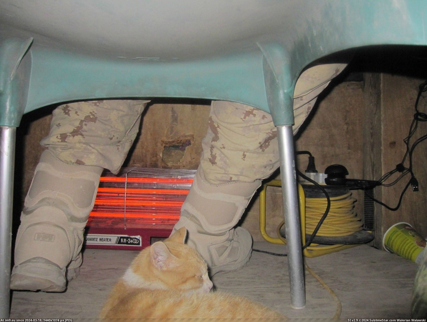 #Cats #Guard #Camp #Afghanistan #Cheetah #Tower #Helping [Cats] Tower Cheetah helping me guard my camp in Afghanistan. 1 Pic. (Obraz z album My r/CATS favs))