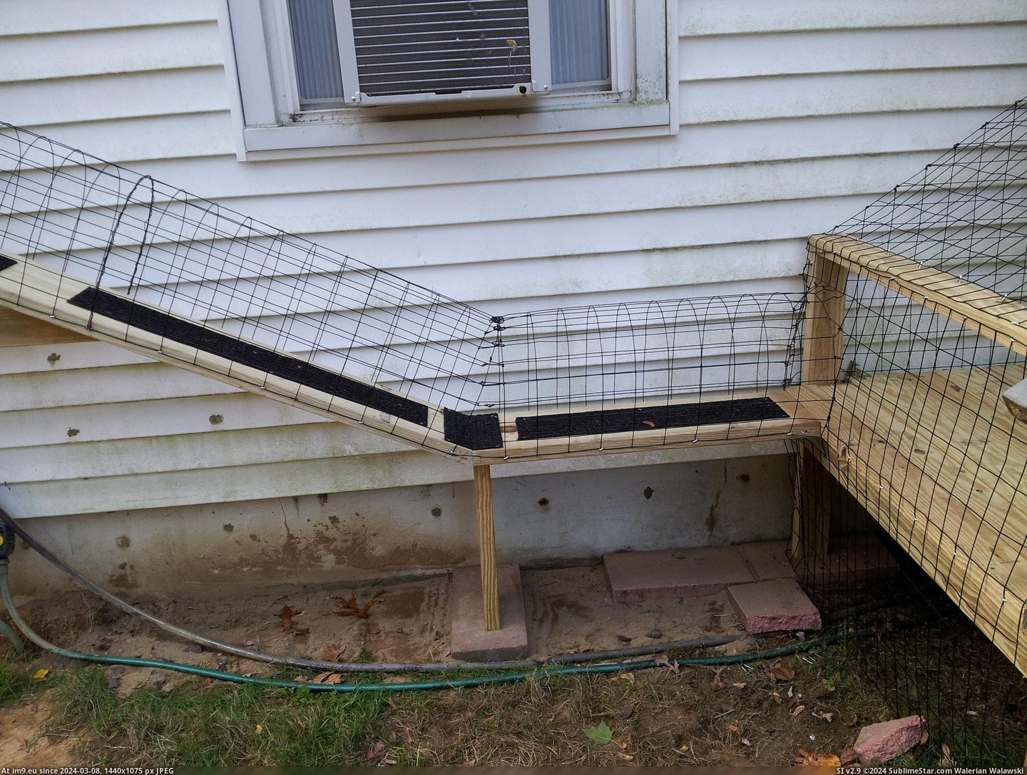 #Cats #For #Enclosure #Indoor #Our #Finished [Cats] We finished the outside enclosure for our indoor cats! (x-post -r-pics) 14 Pic. (Image of album My r/CATS favs))