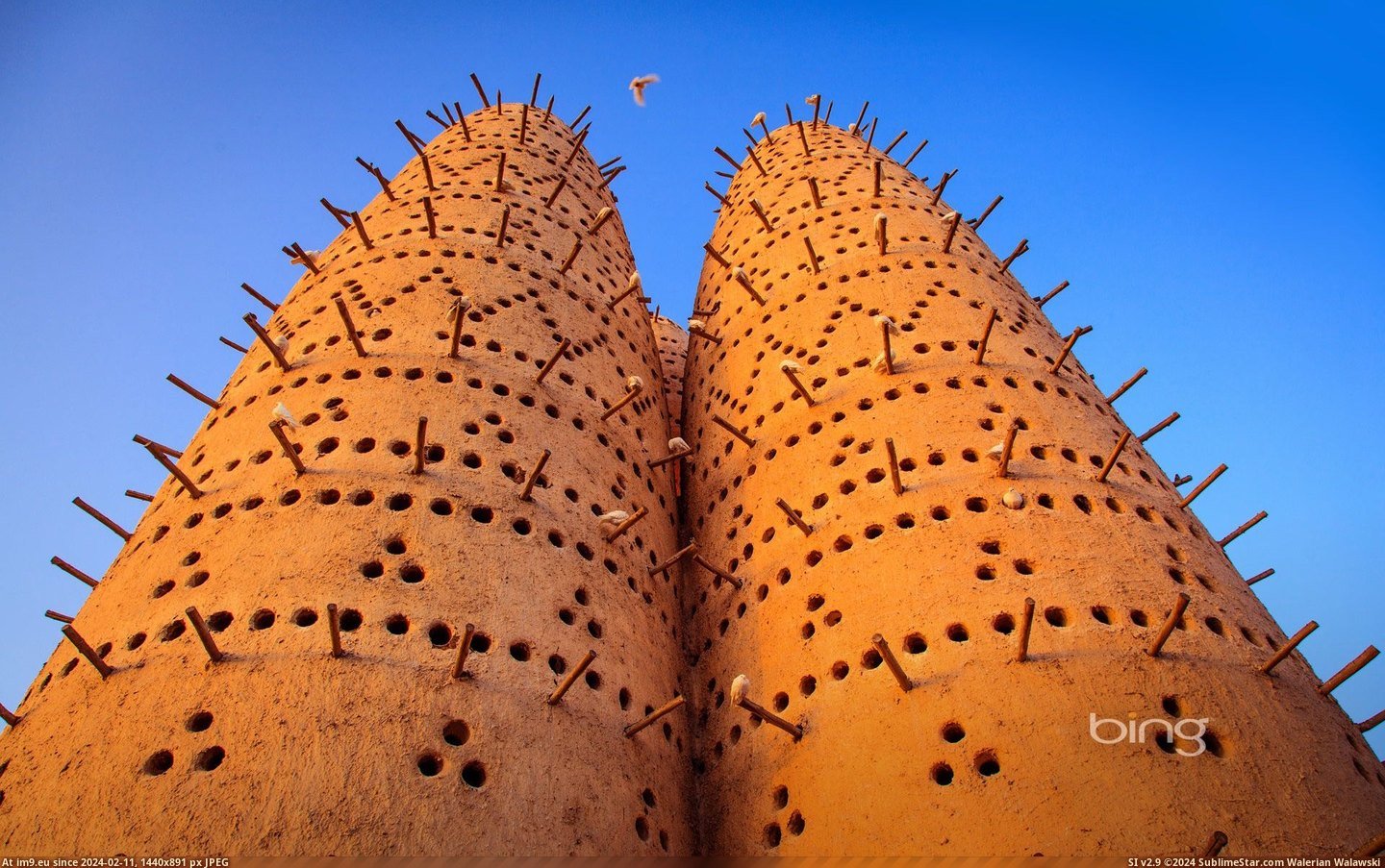 Dovecotes in the Katara Cultural Village in Doha, Qatar (© Getty Images) (in Best photos of February 2013)