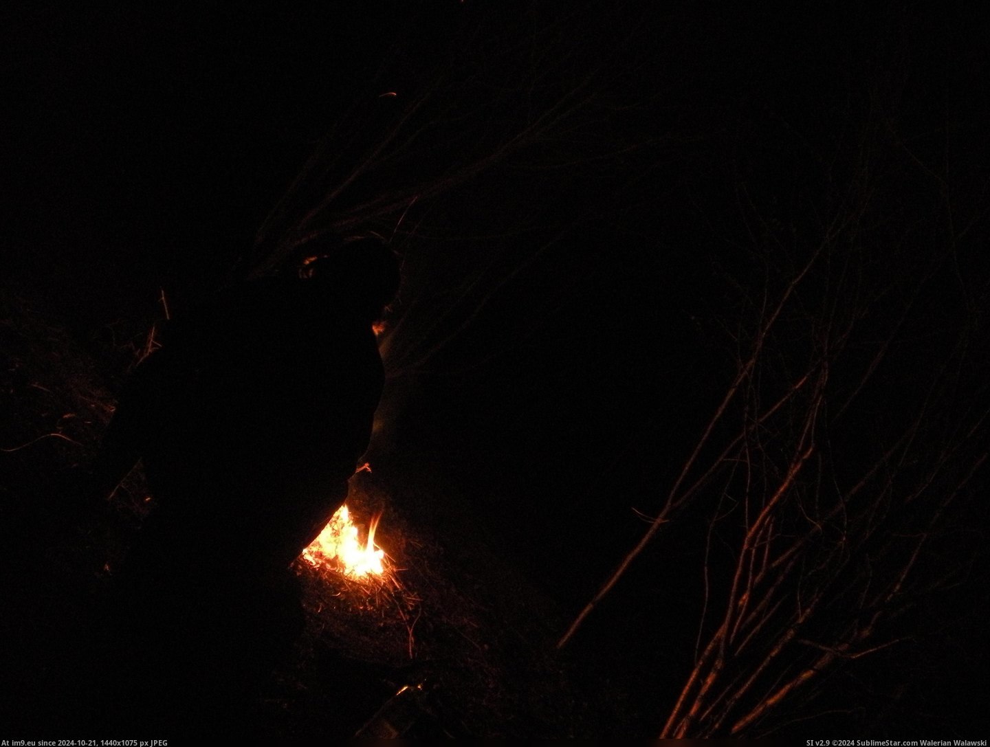  #Dscn7944  DSCN7944 Pic. (Изображение из альбом new 1))