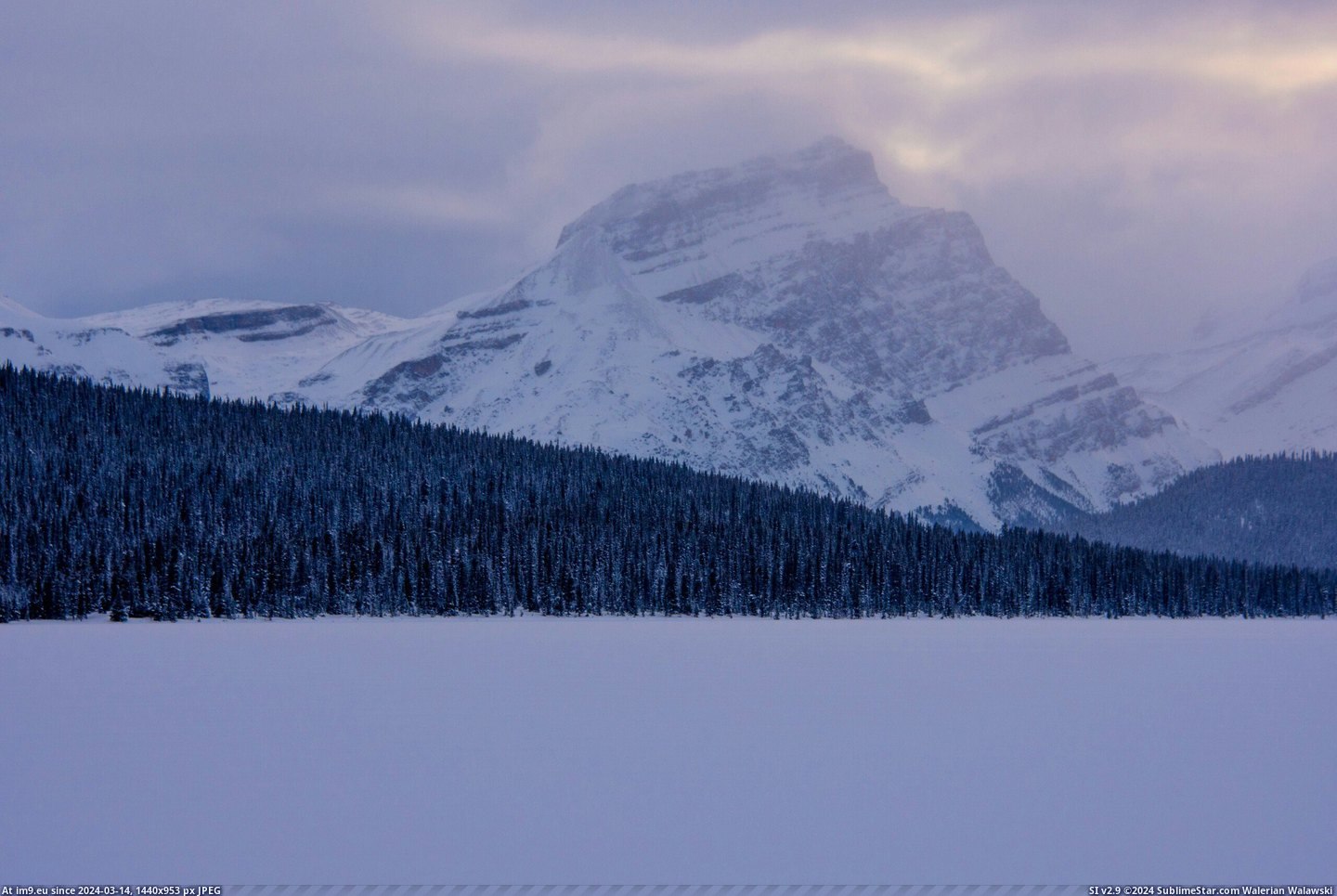 #Park #Morning #National #Banff #Bow #Lake #Winter #Cold [Earthporn] A cold winter morning at Bow Lake in Banff National Park [2560x1707] Pic. (Obraz z album My r/EARTHPORN favs))