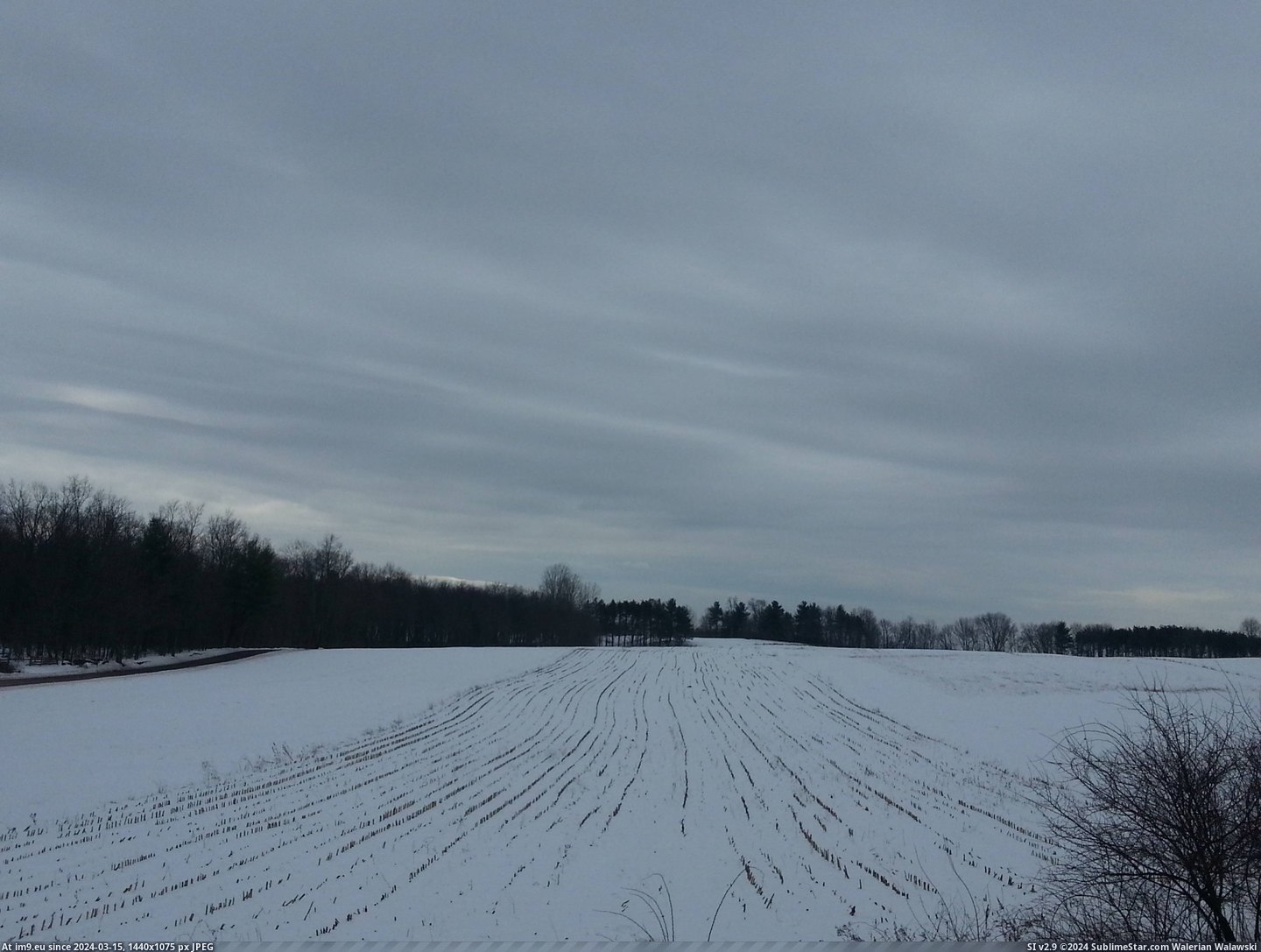 #Year #Not #Sub #Recess #Cornfield #Shickshinny #Pennsylvania #Overly #Dramatic [Earthporn] A cornfield in Shickshinny, Pennsylvania, taking a recess until next year. Not overly dramatic, there is still a sub Pic. (Изображение из альбом My r/EARTHPORN favs))