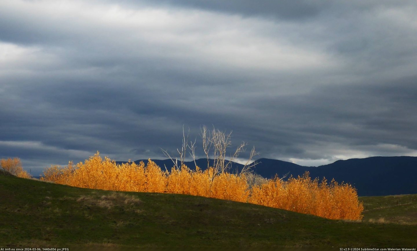 #Source #Sister #Western #Montana #Sunbeam #Fire #Fall [Earthporn] A sunbeam makes fall look like fire in western Montana [2048x1229] Source: My sister Pic. (Obraz z album My r/EARTHPORN favs))