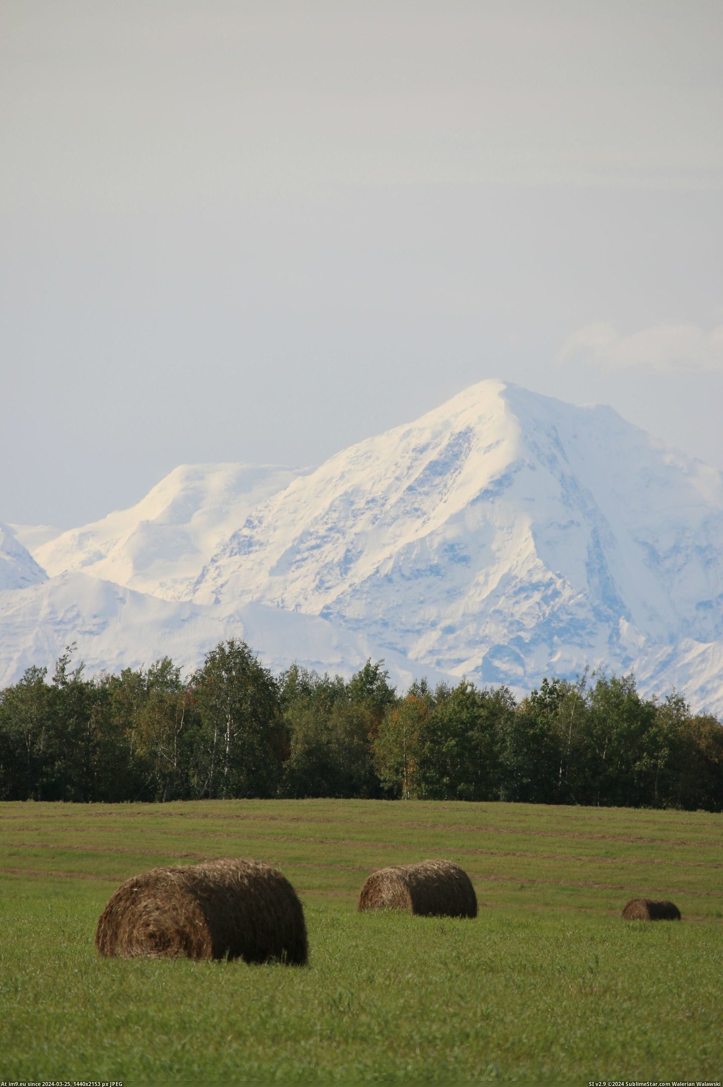 #Alaska #Range #2188x3283 #Delta #Junction [Earthporn] A View of the Alaska Range from Delta Junction [2188x3283] [OC] Pic. (Image of album My r/EARTHPORN favs))