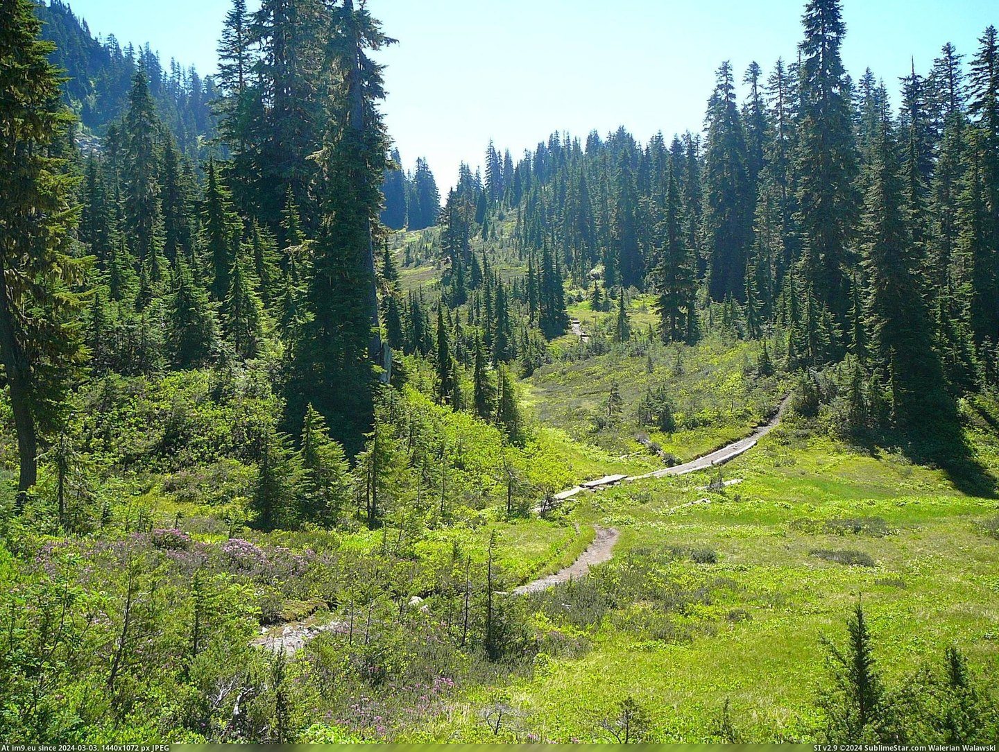 #Usa #2560x1920 #Alpine #Meadow #Cascades [Earthporn] Alpine meadow in the Cascades, USA [OC] [2560x1920] Pic. (Image of album My r/EARTHPORN favs))