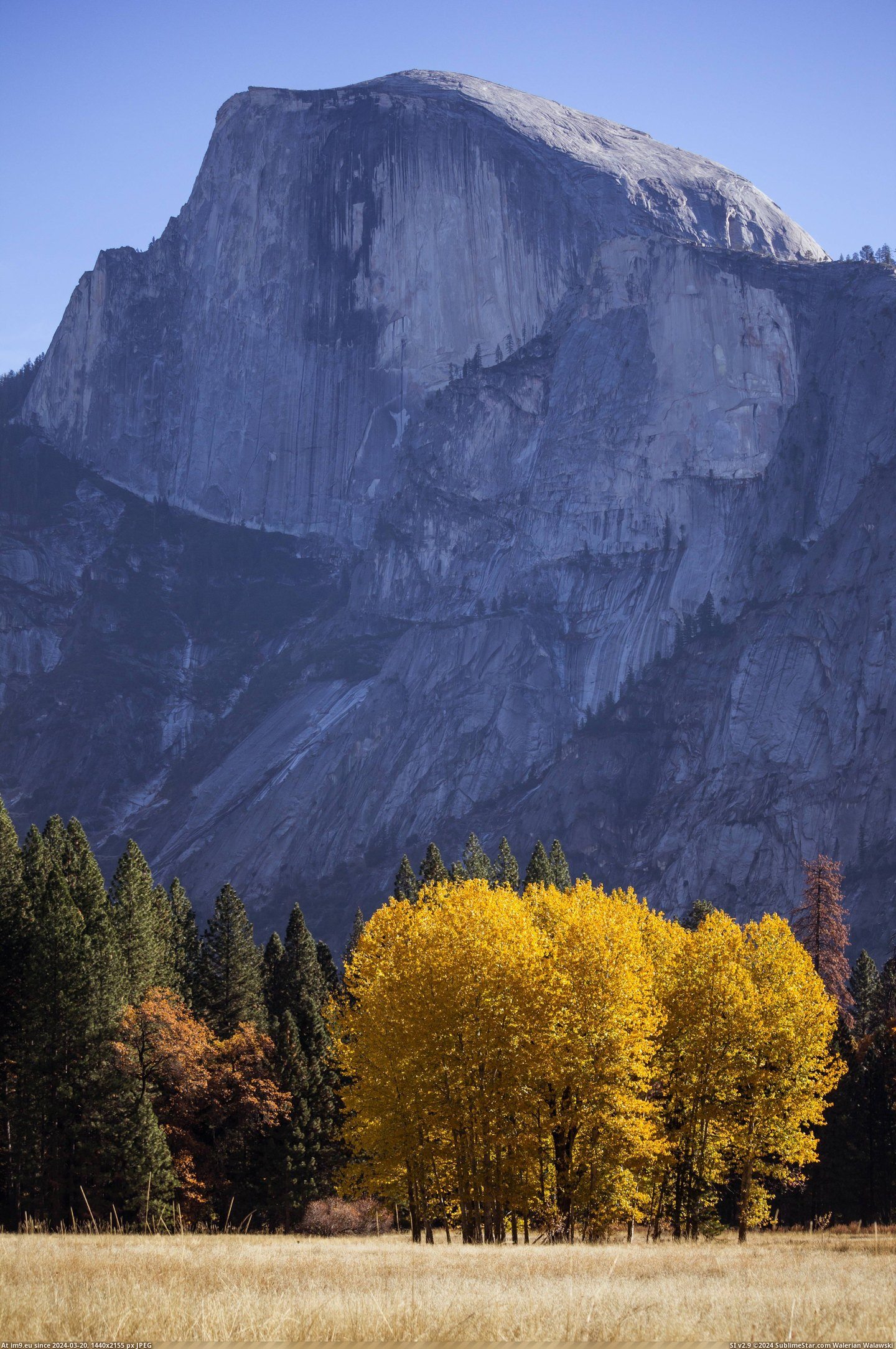 #Yosemite #3456x5184 #Autumn [Earthporn] Autumn in Yosemite [OC] [3456x5184] Pic. (Image of album My r/EARTHPORN favs))