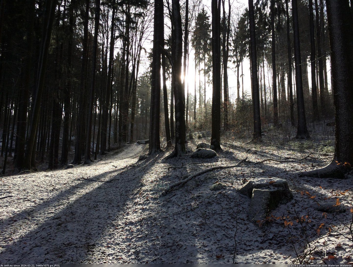 #Forest #Germany #Bavarian #3264x2448 #Snowfall [Earthporn] Bavarian Forest after Snowfall; Falkenstein, Germany  [3264x2448] Pic. (Image of album My r/EARTHPORN favs))