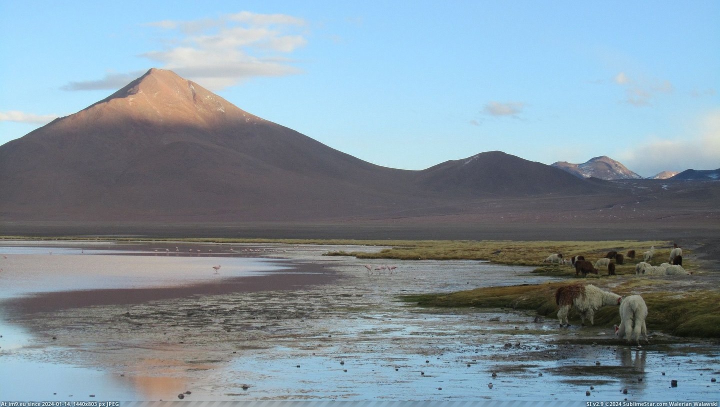 #Altiplano  #Bolivian [Earthporn] Bolivian Altiplano [OC] [2160 x 1216] Pic. (Image of album My r/EARTHPORN favs))