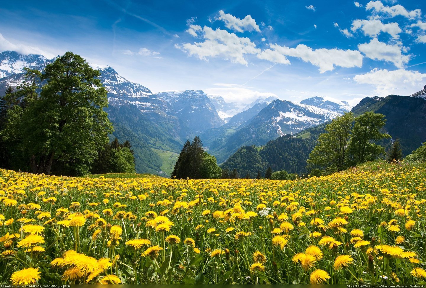 #Switzerland #Braunwald #3872x2592 [Earthporn] Braunwald, Switzerland [3872x2592] Pic. (Image of album My r/EARTHPORN favs))