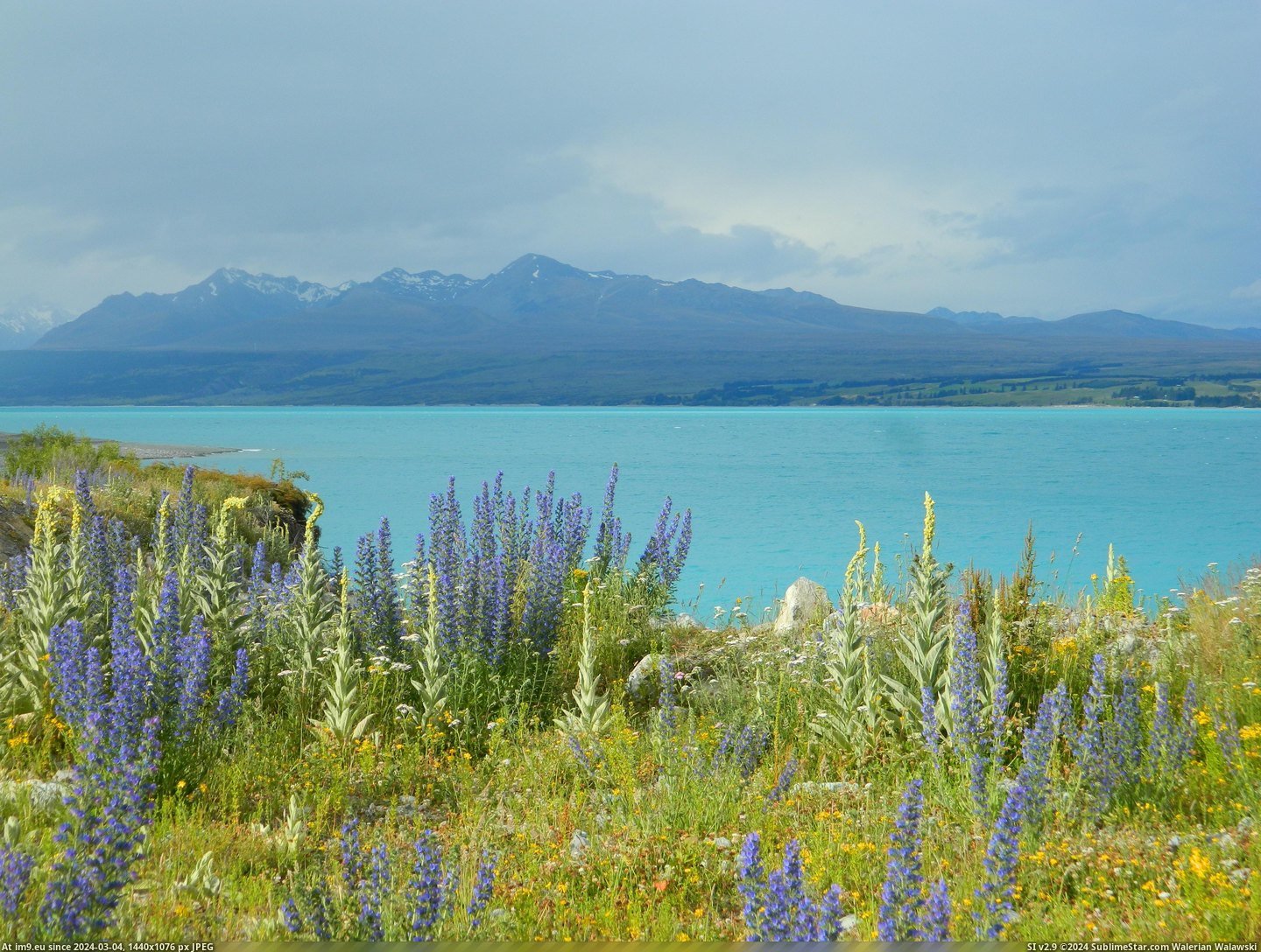 #Lake #Island #Brilliant #South #Zealand [Earthporn] Brilliant Lake Pukaki, South Island, New Zealand! [4320 × 3240] Pic. (Image of album My r/EARTHPORN favs))