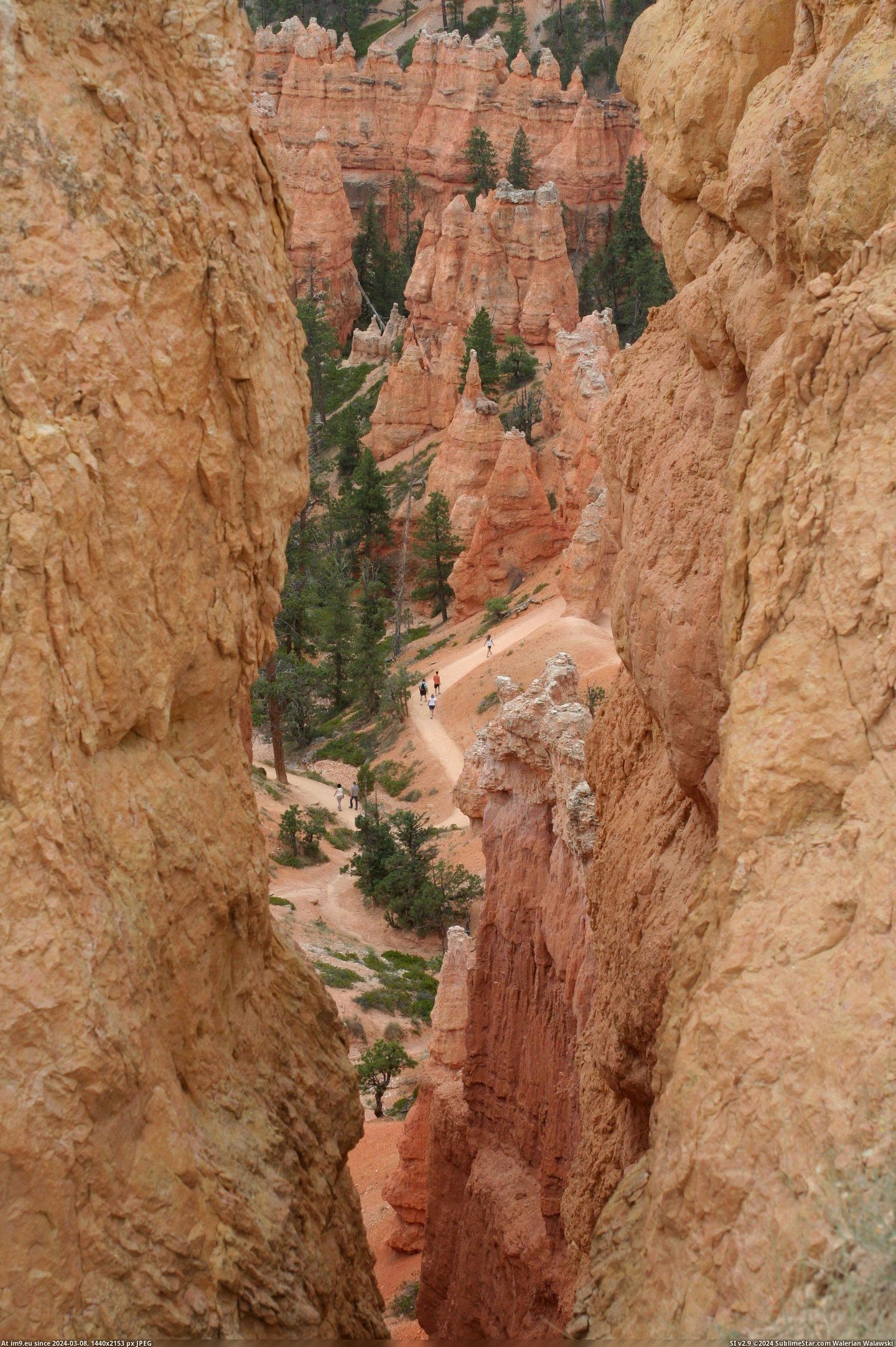 #Park #National #Bryce #2304x3456 #Canyon #Utah [Earthporn] Bryce Canyon National Park, Utah [2304x3456] [OC] Pic. (Bild von album My r/EARTHPORN favs))