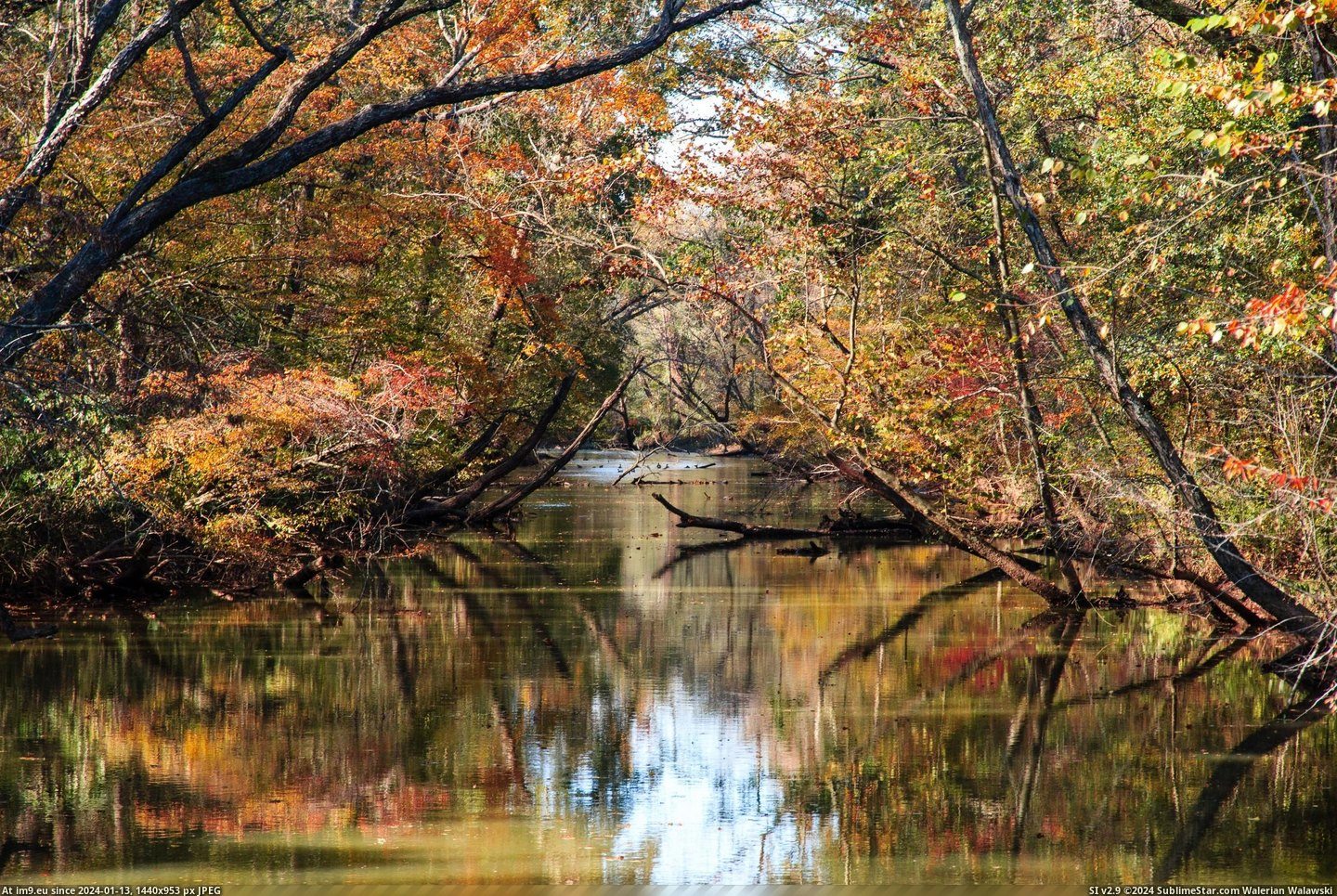 #River #2592x1728 #Chattahoochee #Georgia [Earthporn] Chattahoochee River - Georgia [2592x1728] [OS] [OC] Pic. (Obraz z album My r/EARTHPORN favs))