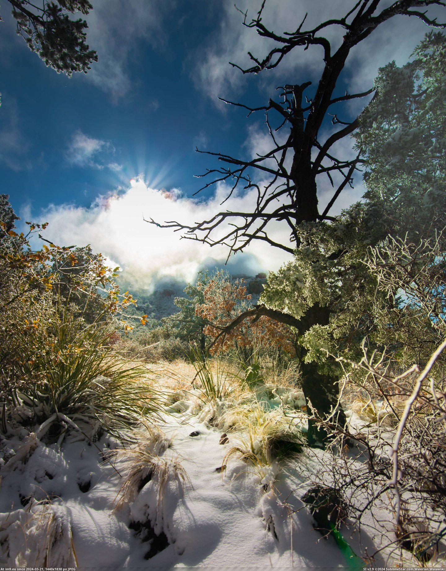 #Big #Desert #Bend #Snow [Earthporn] Desert Snow at Big Bend [3648x4638] Pic. (Изображение из альбом My r/EARTHPORN favs))