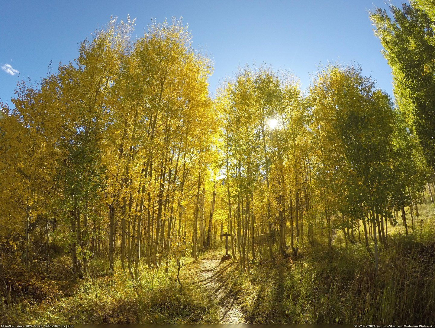 #Colorado #Fall #Gore #Begun #Creek #4000x3000 [Earthporn] Fall has begun at Gore Creek, Colorado  [4000x3000] Pic. (Obraz z album My r/EARTHPORN favs))