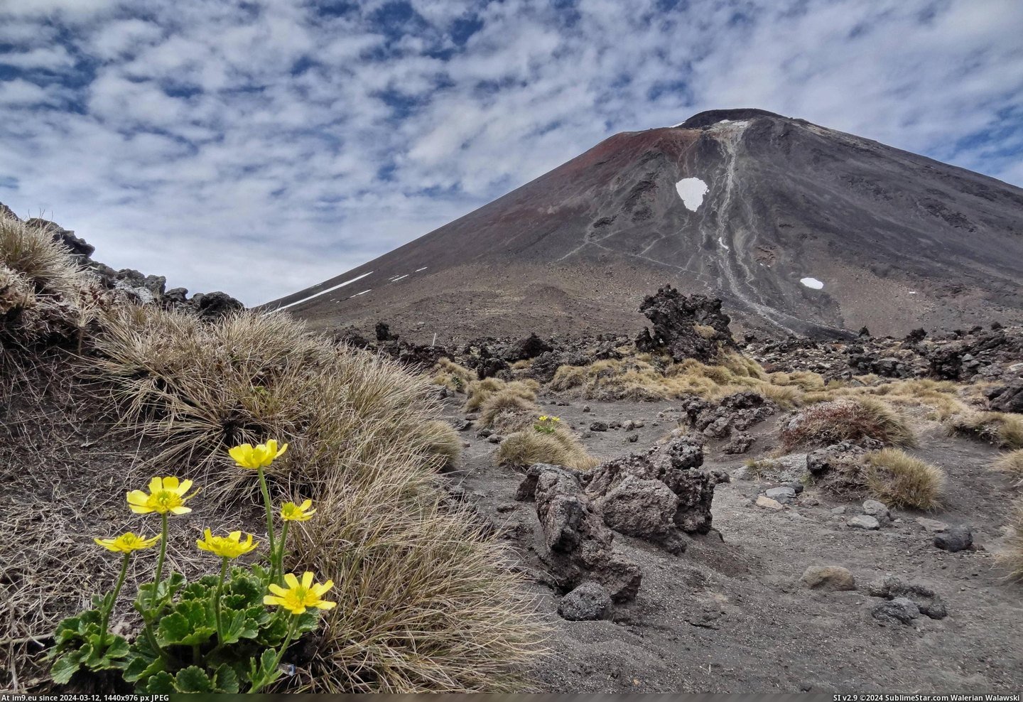 #Aka #Mount #Zealand #Rings #Volcanic #Doom #Flowers #Base #Lord [Earthporn] Flowers at the base of volcanic Mount Ngauruhoe, New Zealand (AKA 'Mount Doom' from Lord of the Rings)  [4608x3144] Pic. (Изображение из альбом My r/EARTHPORN favs))