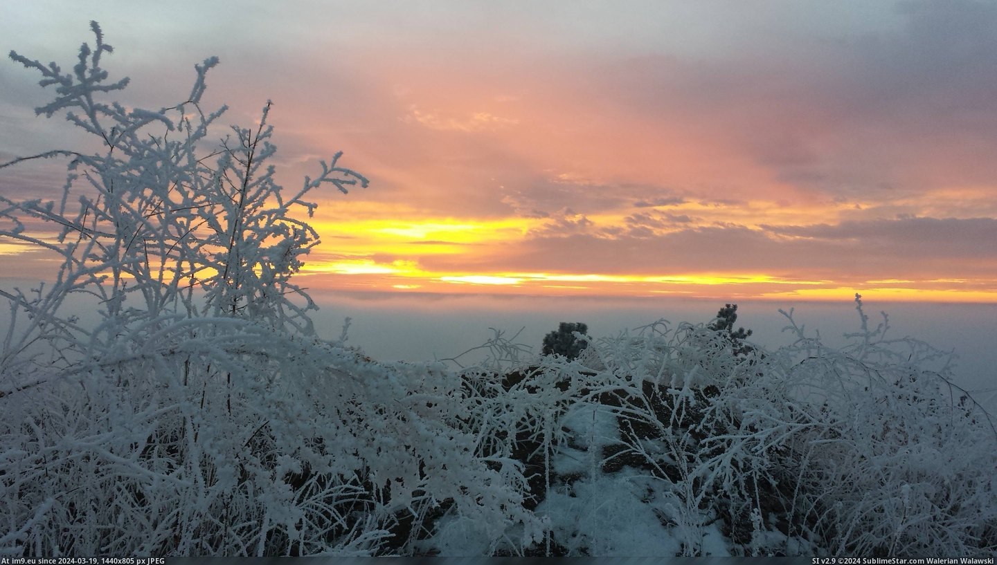 #Sunset #Clouds #Frosted #Spokane #Hill #3264x1836 [Earthporn] Frosted hill above the clouds at sunset, Spokane, WA [3264x1836][OC] Pic. (Obraz z album My r/EARTHPORN favs))